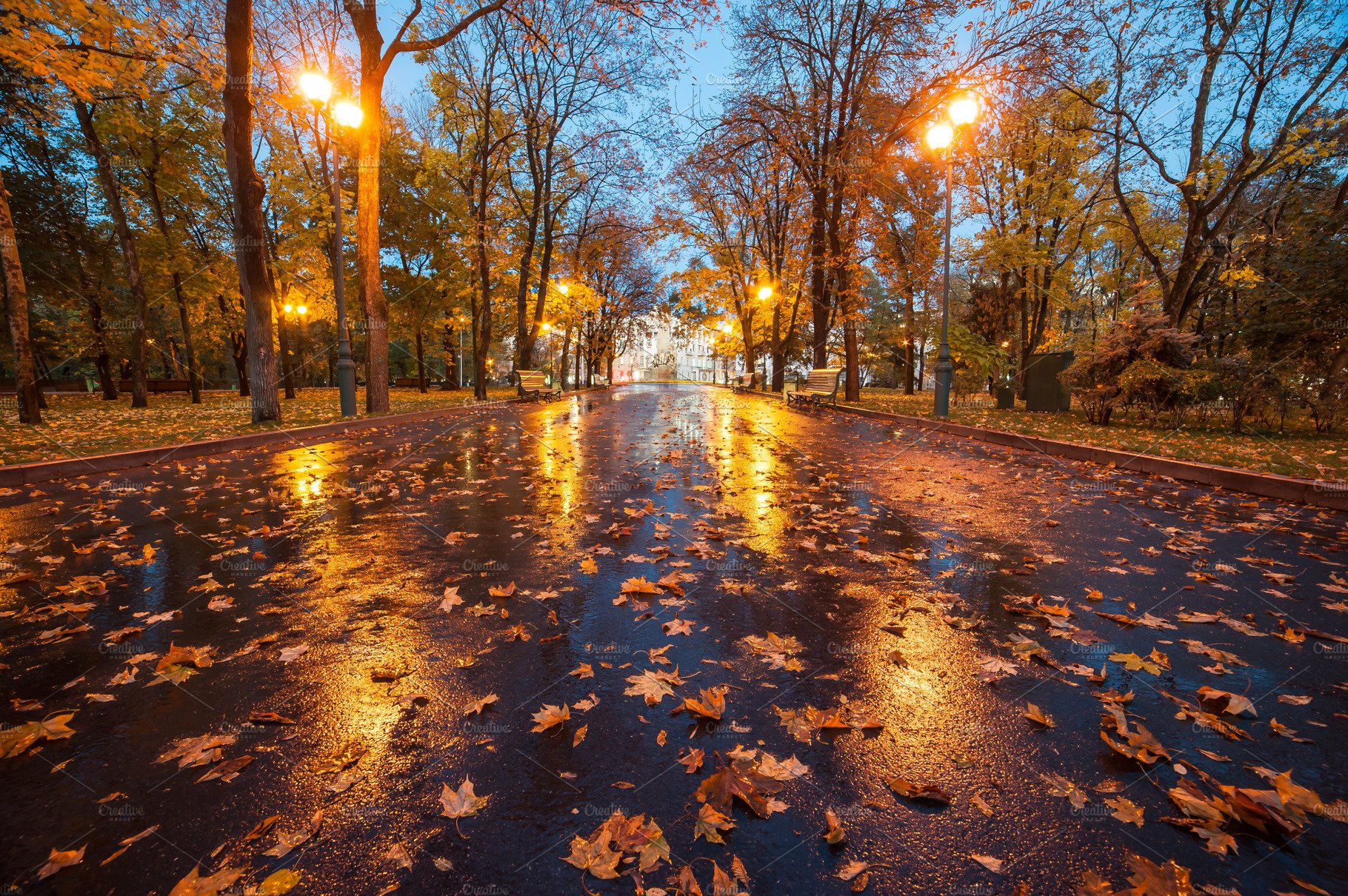 City Autumn Park After Rain Featuring Landscape, Autumn, And Fall. High Quality Nature Creative Market