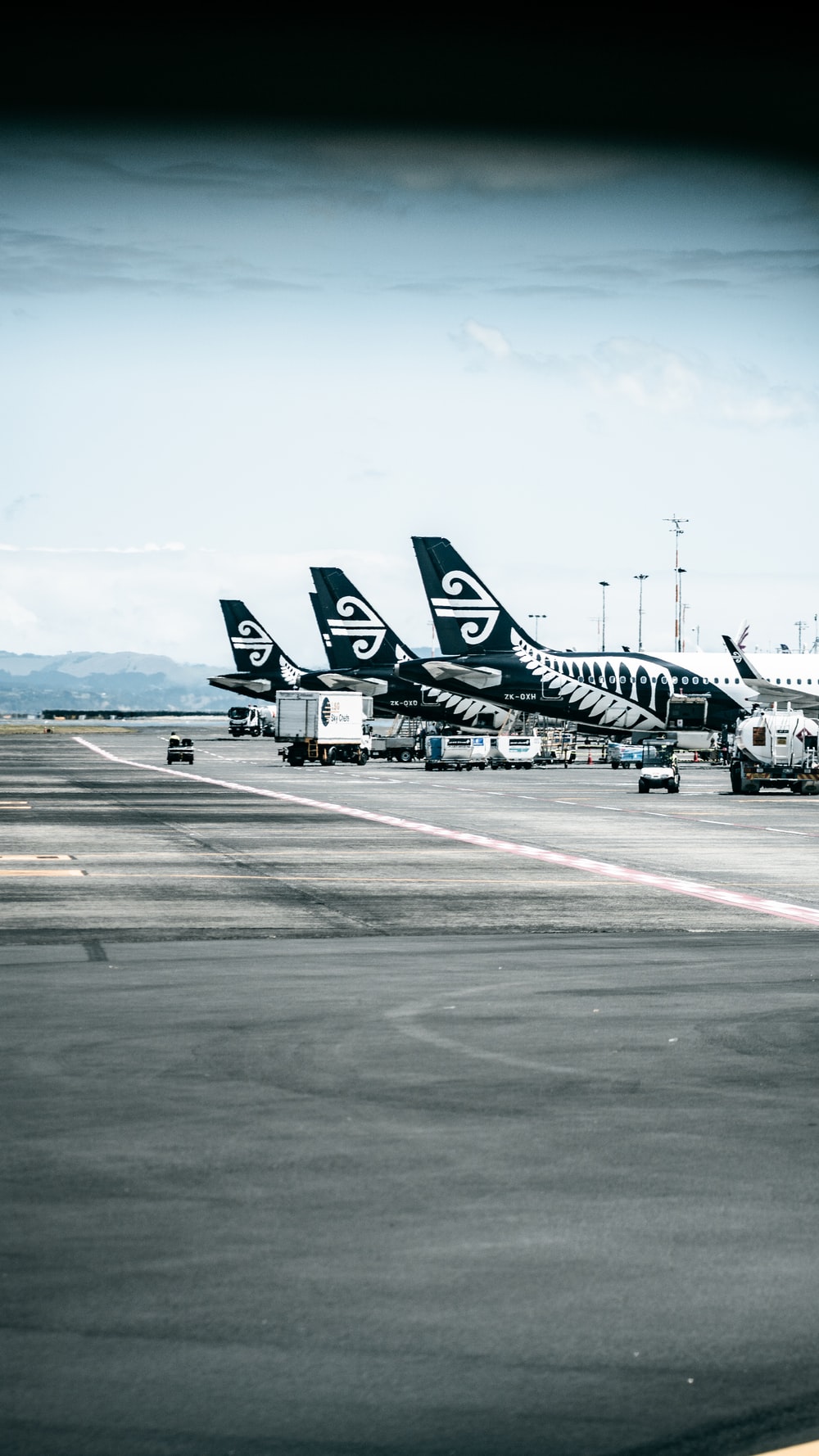 Air New Zealand Picture. Download Free Image