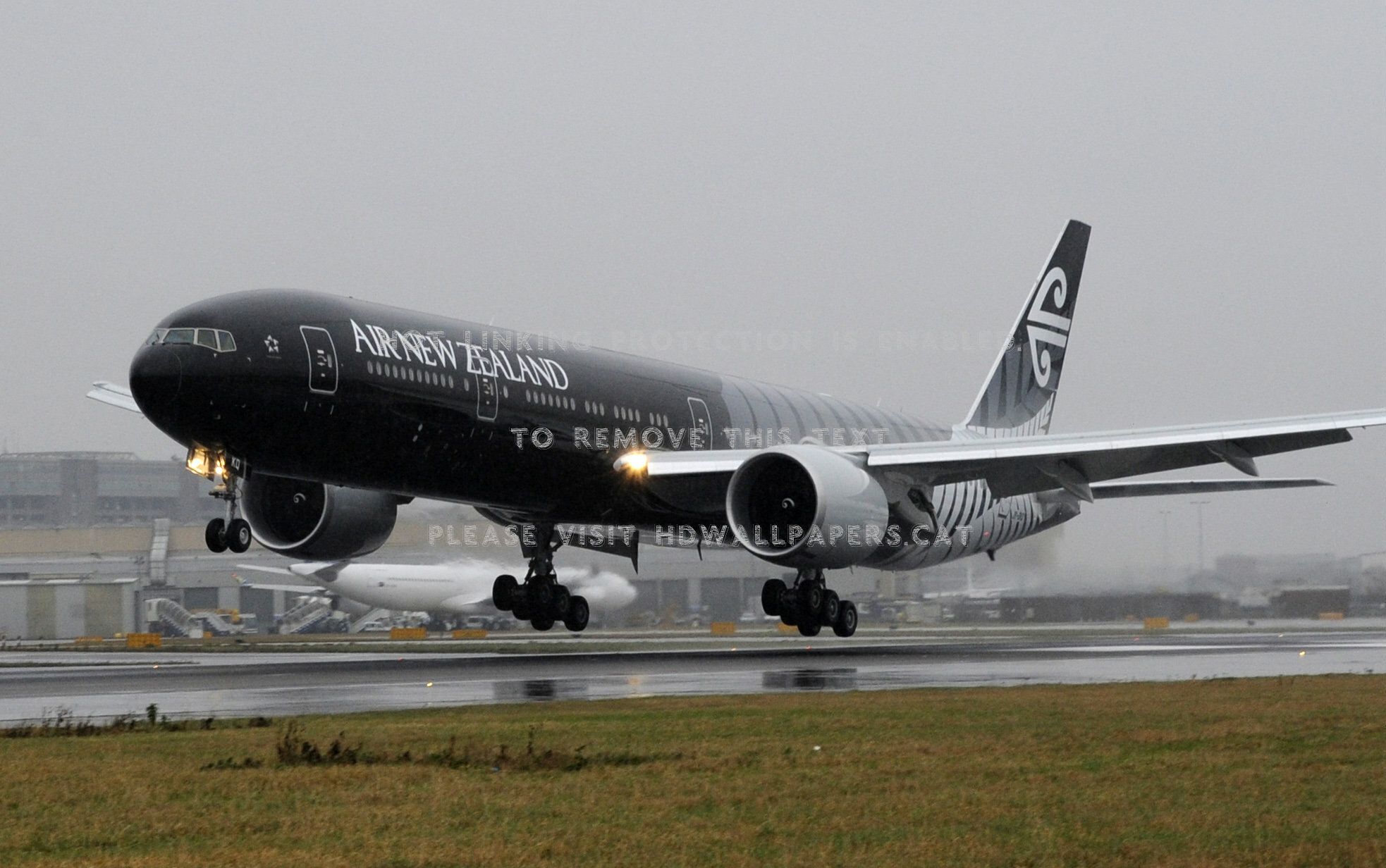 Air New Zealand Wallpaper