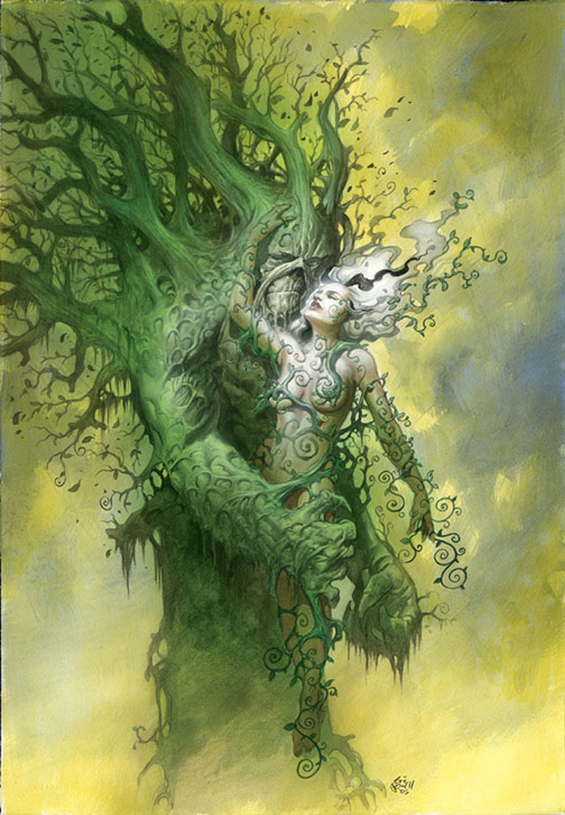 Free download Anyone who chooses a green MM is sending a somewhat similar message [800x1154] for your Desktop, Mobile & Tablet. Explore Swamp Thing Wallpaper. Swamp Wallpaper for Desktop