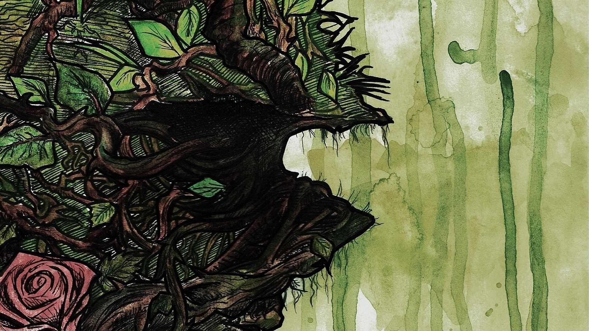 Swamp Computer Wallpaper