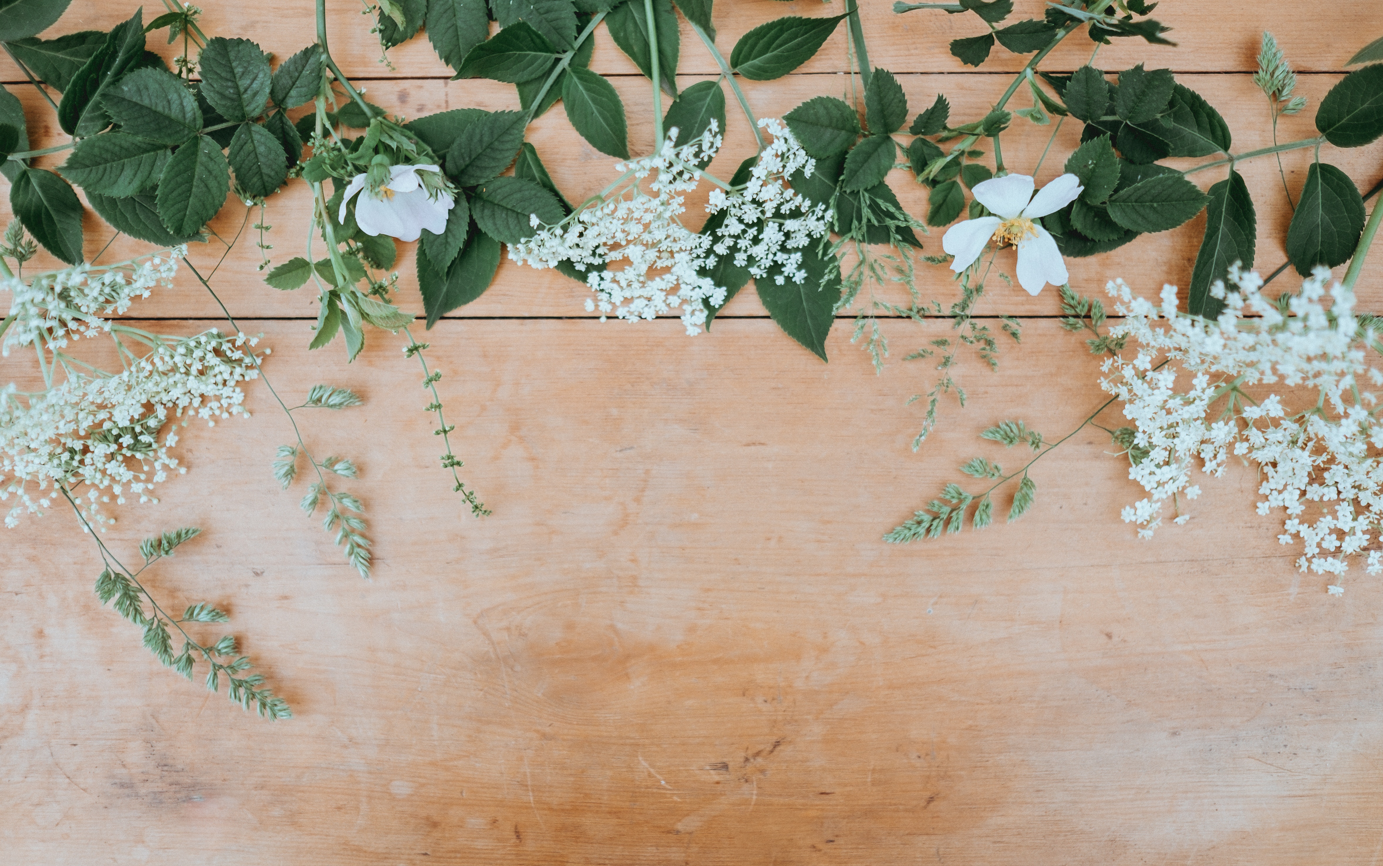 4715x2953 natural, Creative Commons image, wood, deaktop, overhead, leaves, border, flowers, babys breath, white, flatlay, floral, leafe, green, tabletop, flower