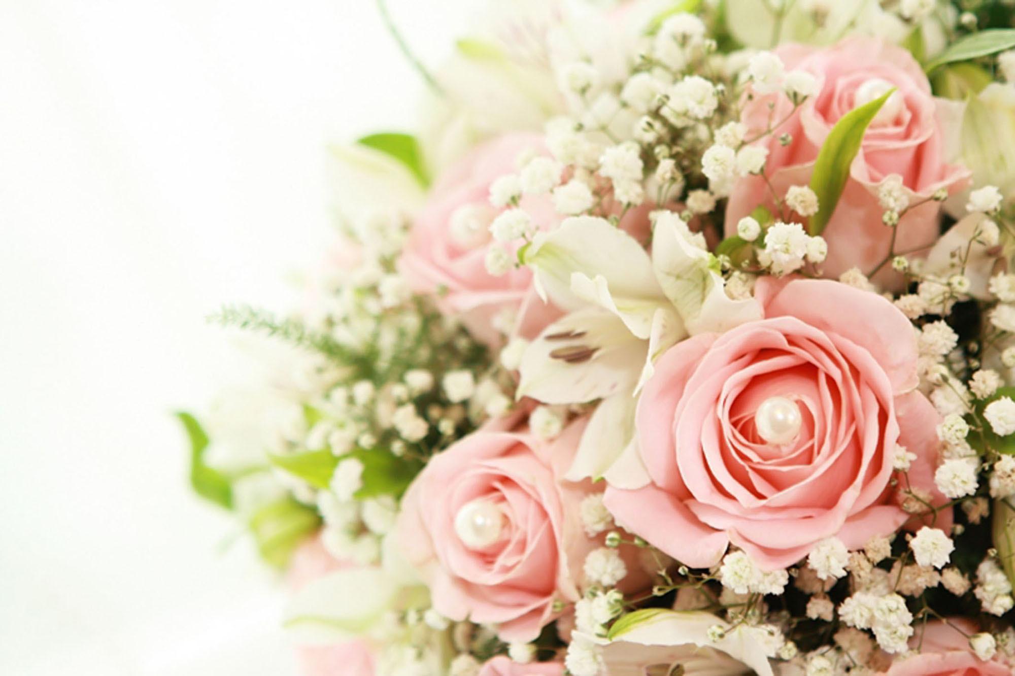 Roses and Baby's Breath HD Wallpaper