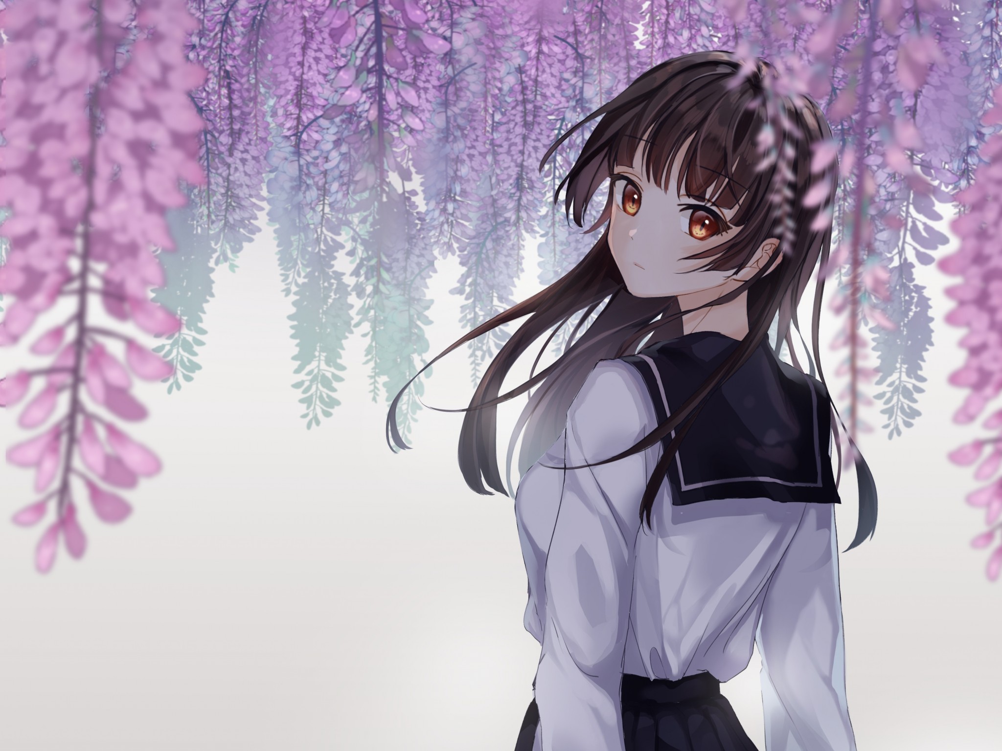 Anime School Girl, Cherry Blossom, Back View, School