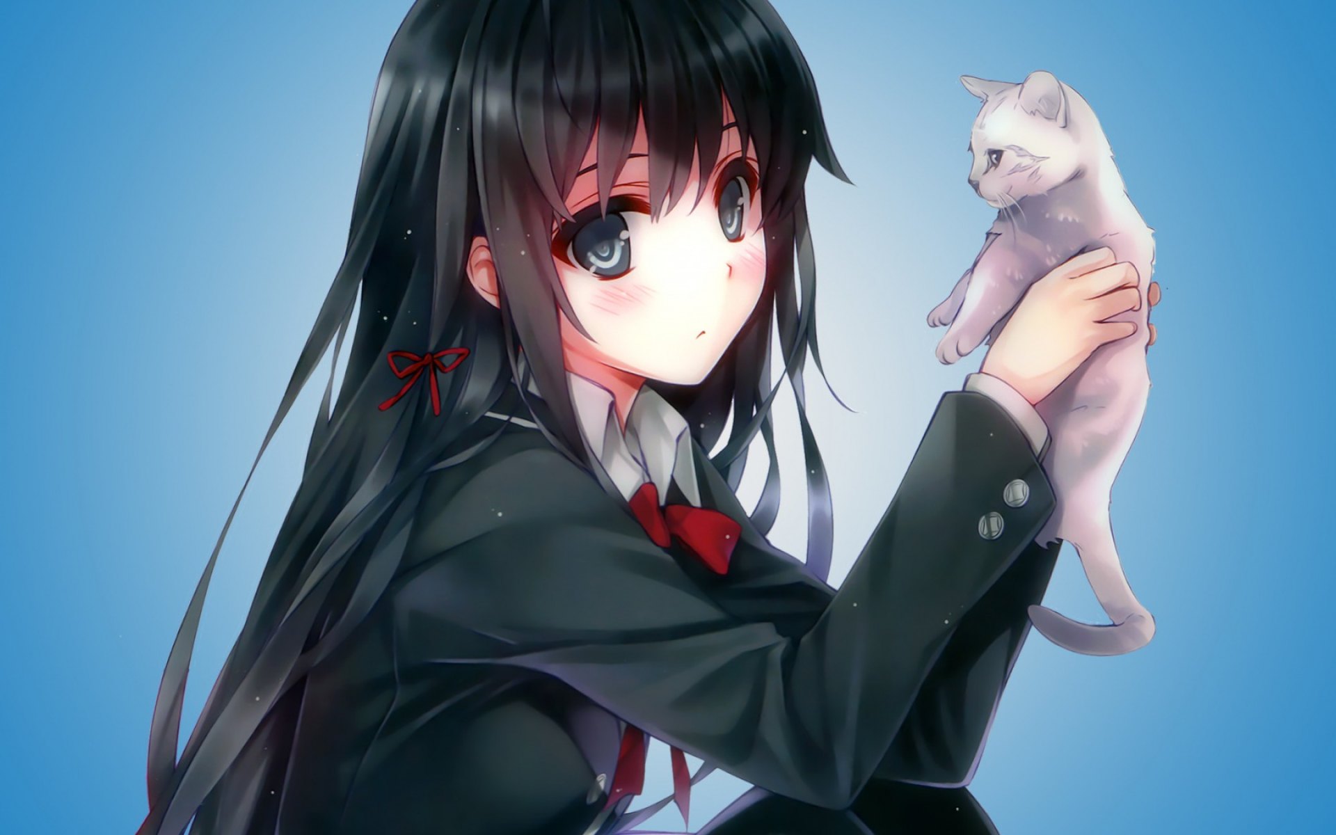 cute, school, pretty, uniform, girl, anime, cat
