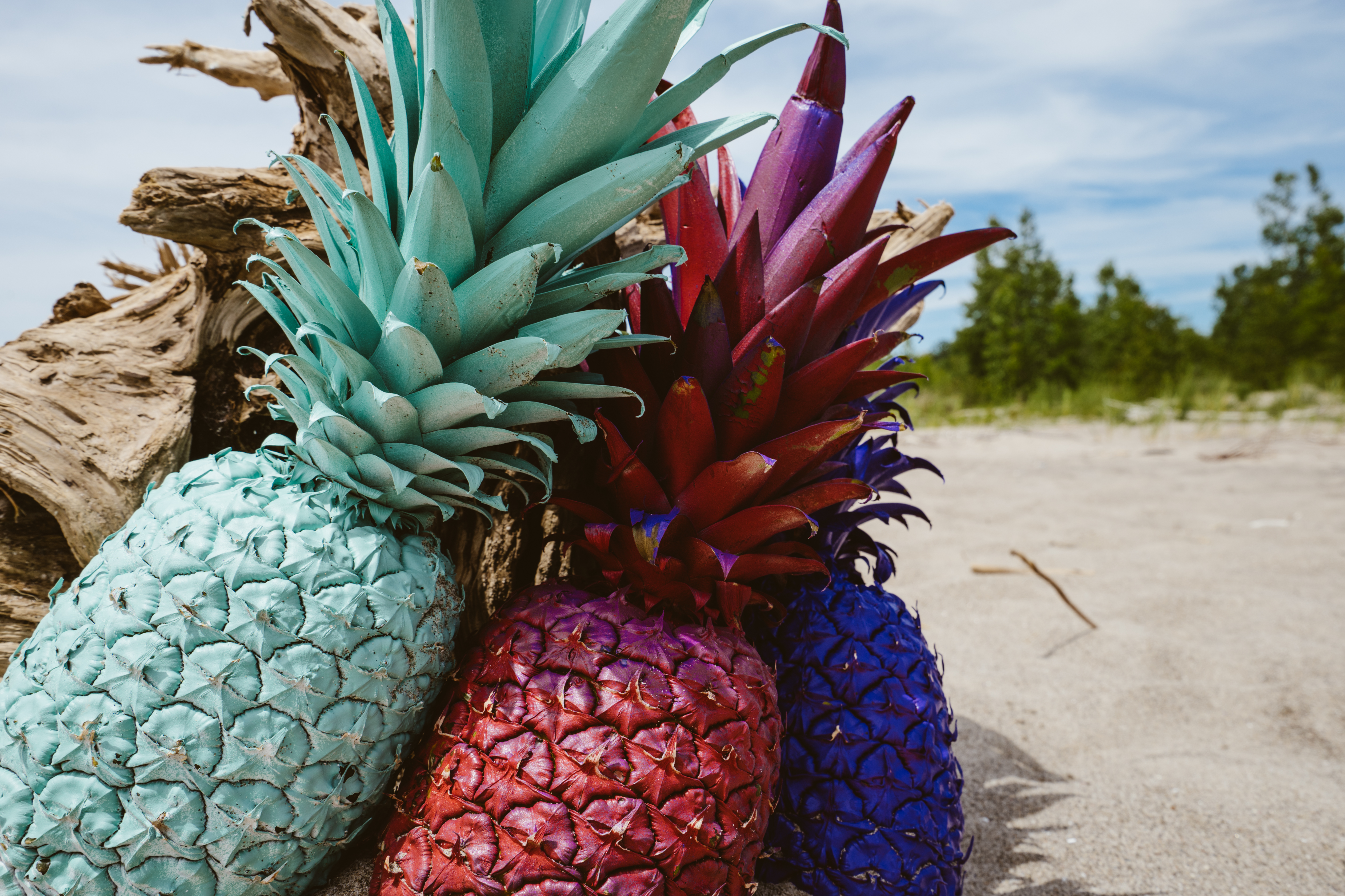 Teal, Red, and Purple Pineapples on Sand · Free