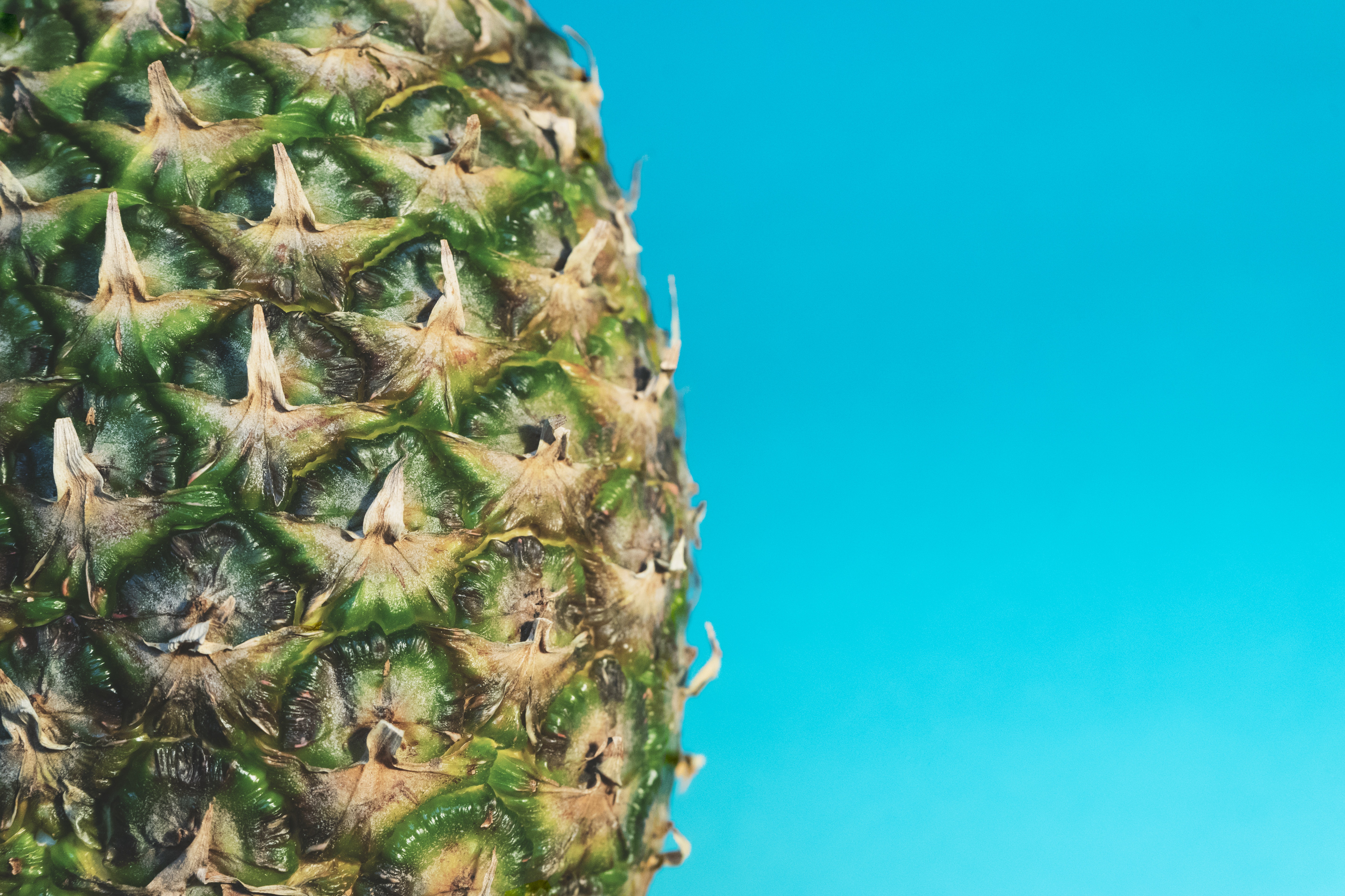Free Photo: Pineapple Fruit, Close Up, Colors