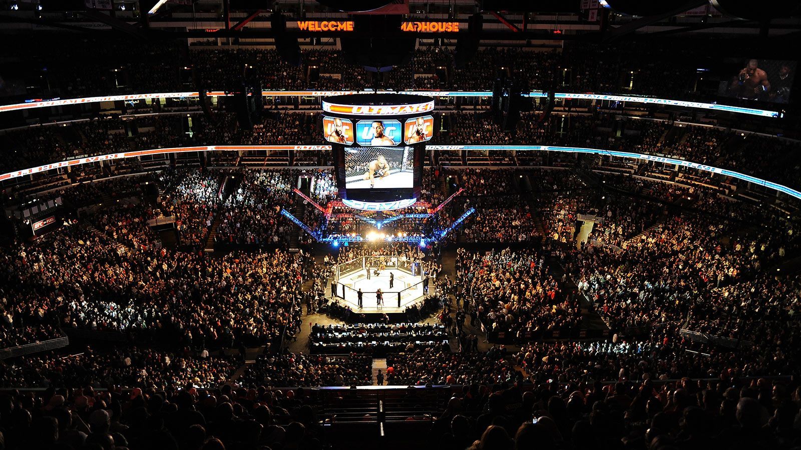 UFC Cage Wallpapers Wallpaper Cave