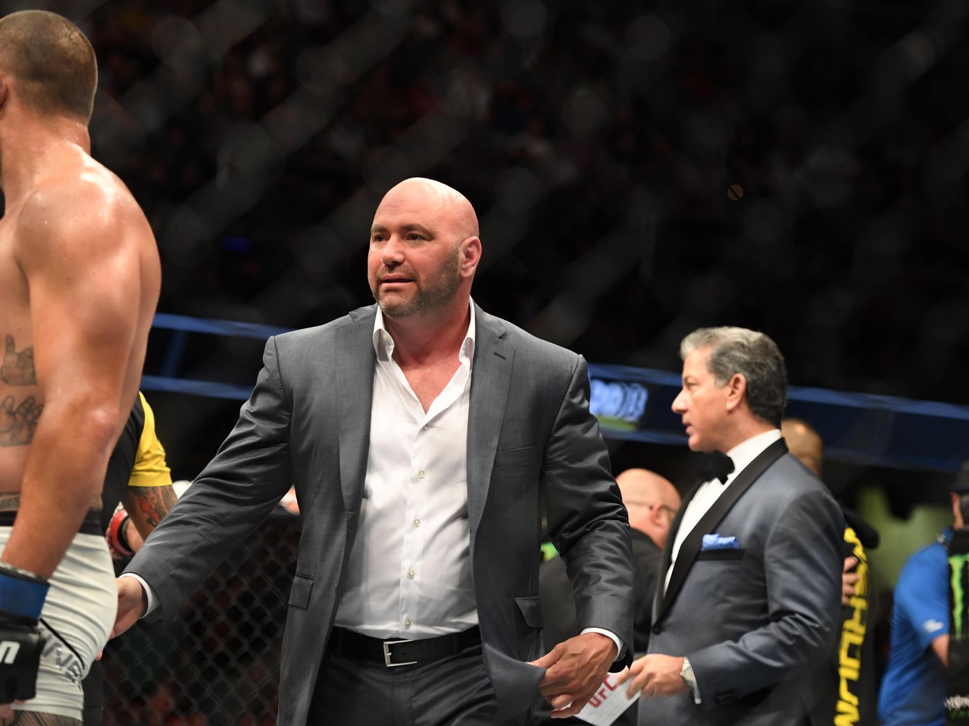 Dana White Wallpapers - Wallpaper Cave