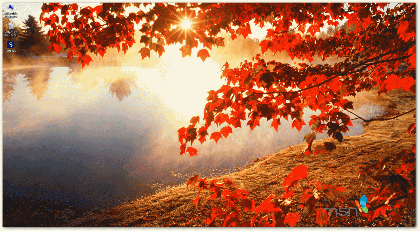 Download MSN Wallpaper and Screensaver Pack: Autumn 1.6.3