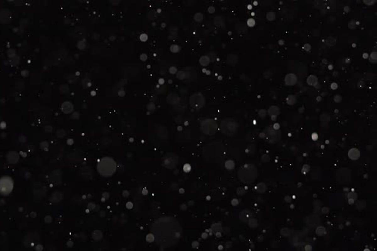 Dust Particles Are Shimmering on Black Background. Slow Motion by KinoMaster on Envato Elements
