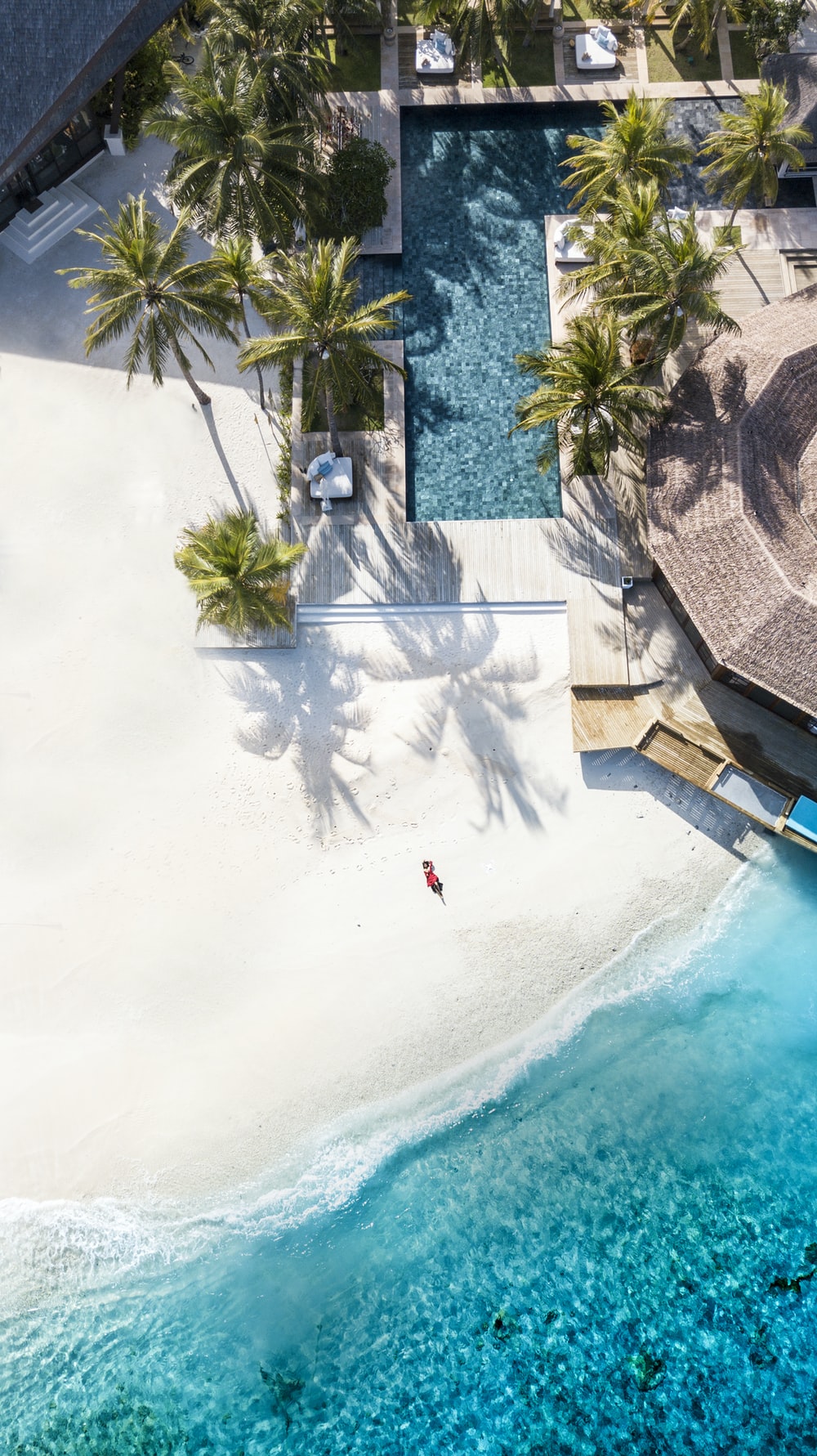 Beach Pool Picture. Download Free Image