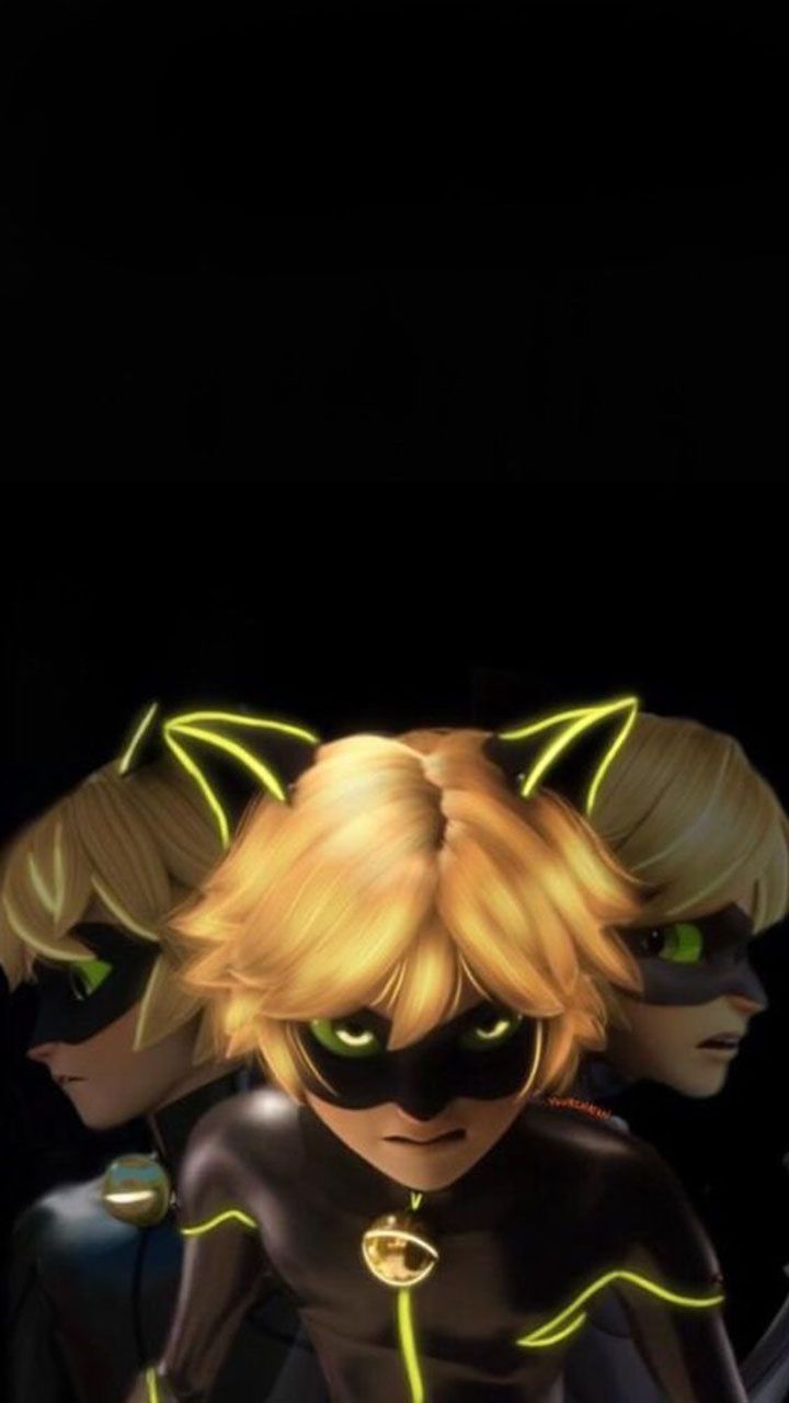 Cat Noir. Miraculous ladybug wallpaper, Miraculous ladybug comic, Miraculous ladybug memes