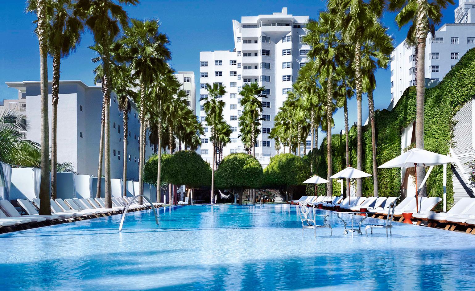 The 9 best pools in Miami to dip your toes into. Wallpaper*