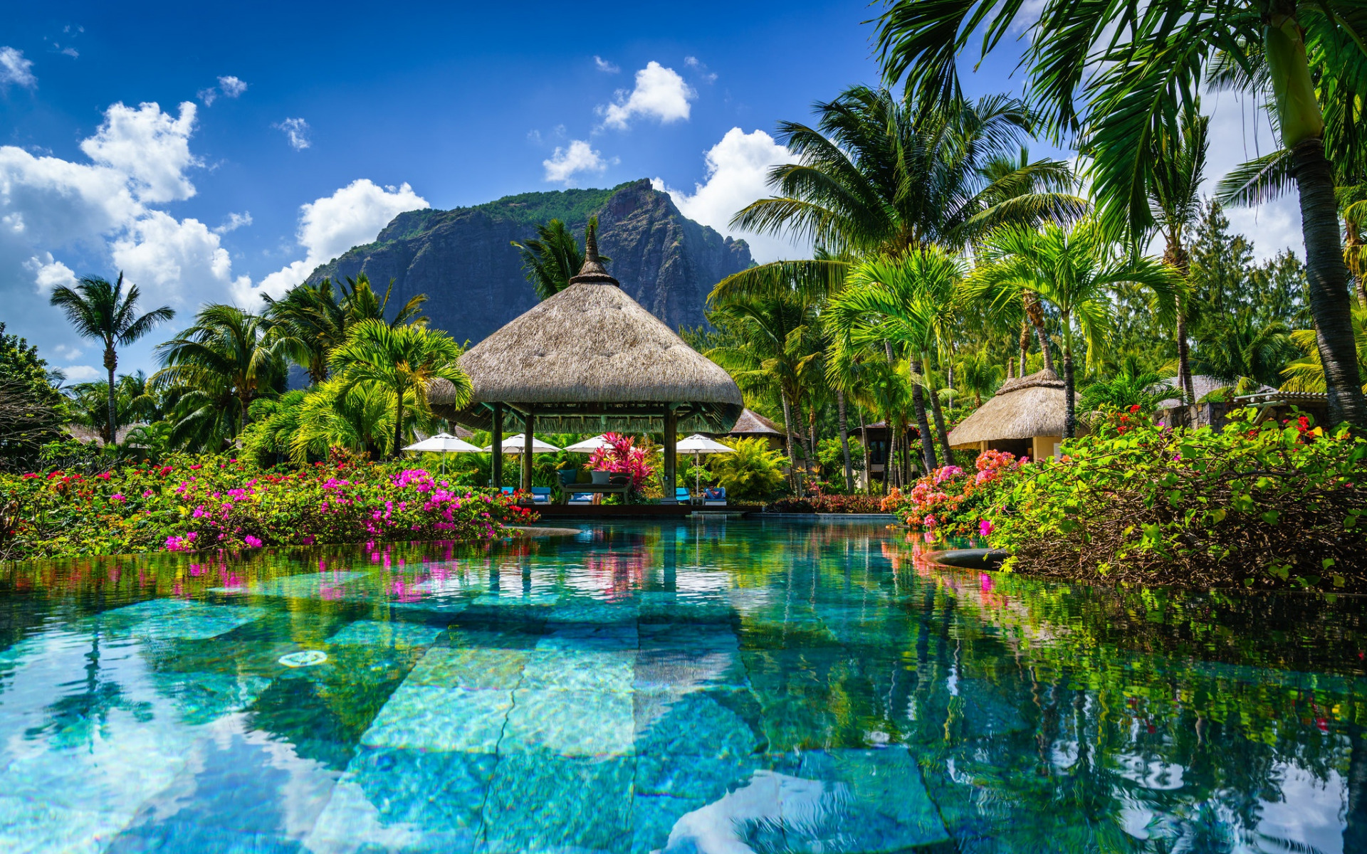 Download wallpaper Mauritius, tropical island, mountain landscape, palm trees, luxury hotel, swimming pool for desktop with resolution 1920x1200. High Quality HD picture wallpaper
