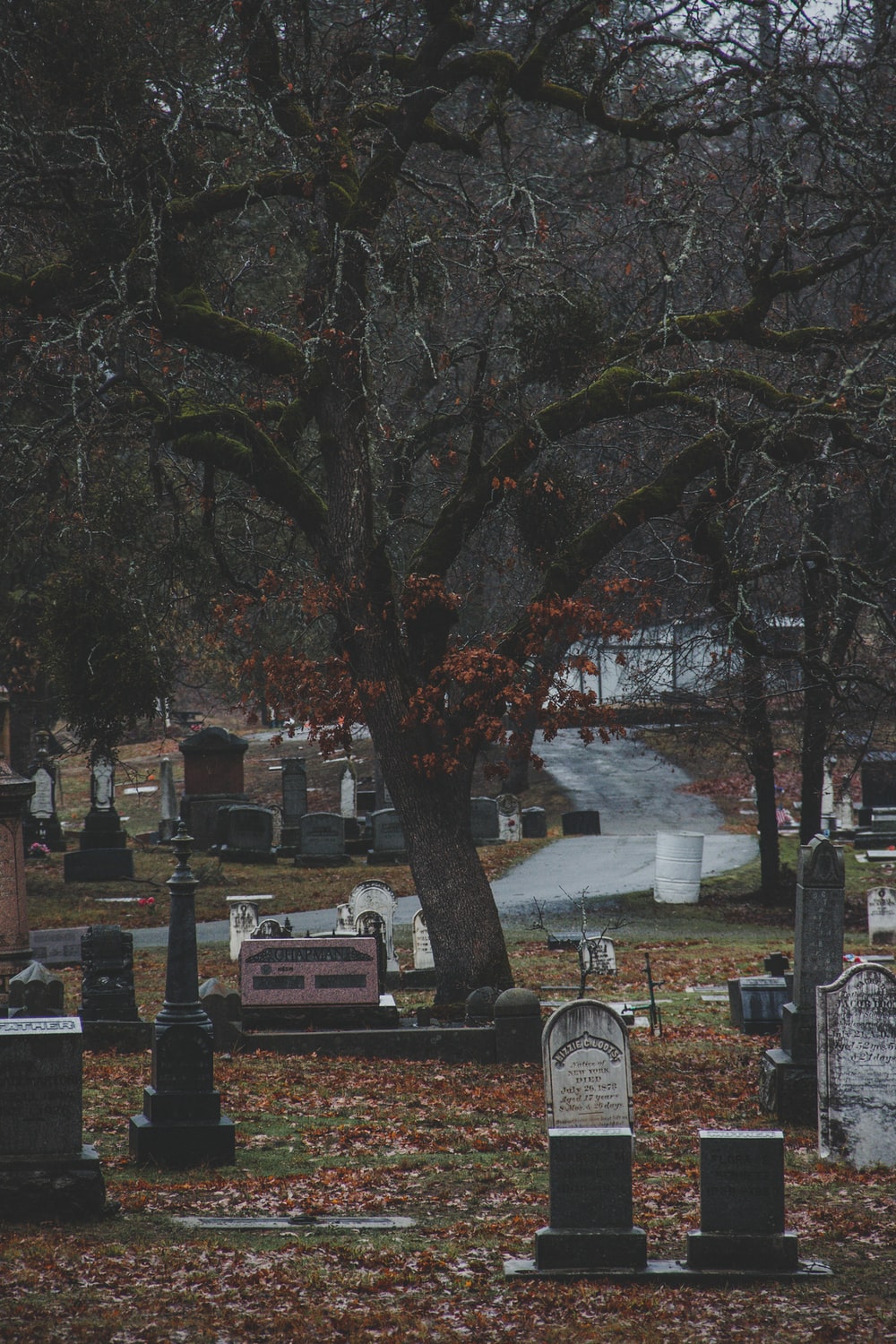 Graveyard Picture. Download Free Image