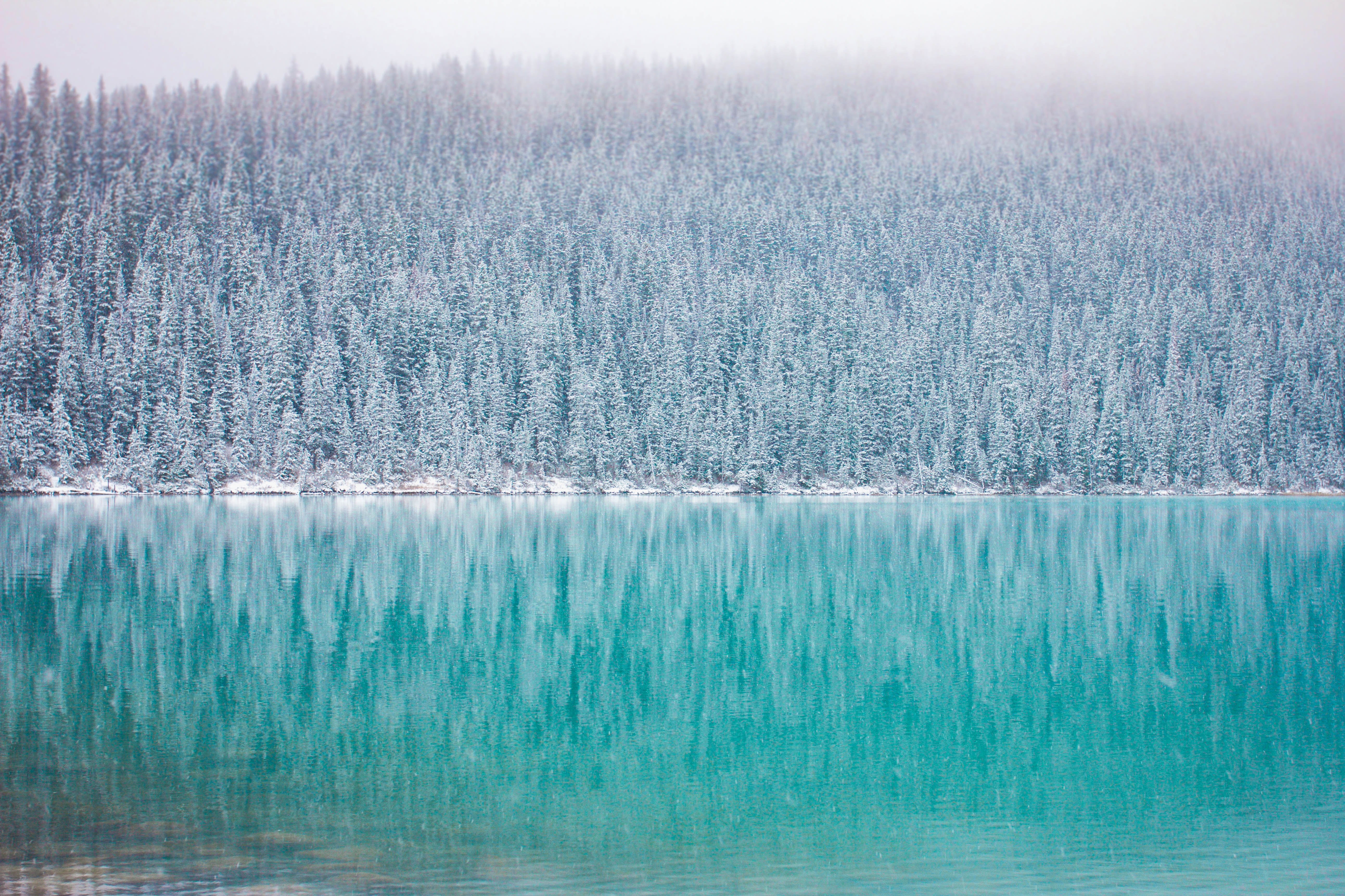 5169x3446 #gradient blue, #snow, #turquoise waters, #frost, #forest, #snowing, #woodland, #happy, #lake, #frozen lake, #cold, #mountain, #tree, #gradient, #frozen, #Free image, #winter, #reflection, #blue, #reflcection, #turquoise. Mocah HD