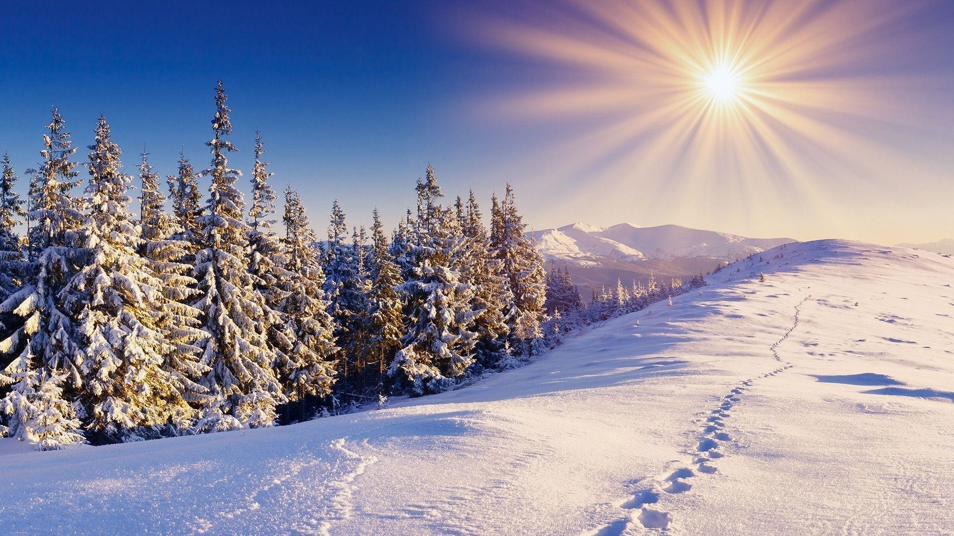 HD Wallpaper Nature Widescreen Winter