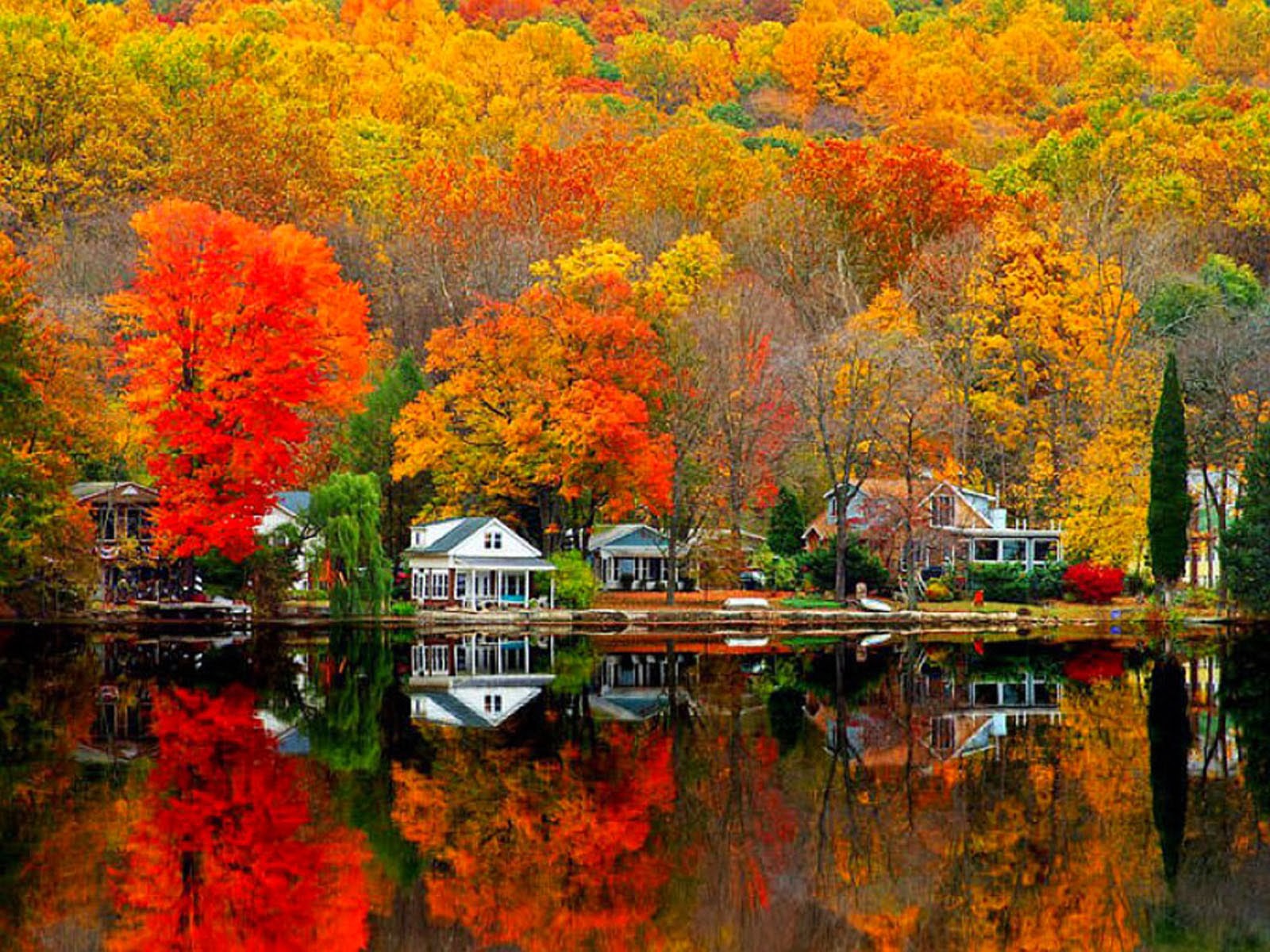 Free download Desktop Wallpapers Autumn Scenery Desktop Backgrounds Autumn ...