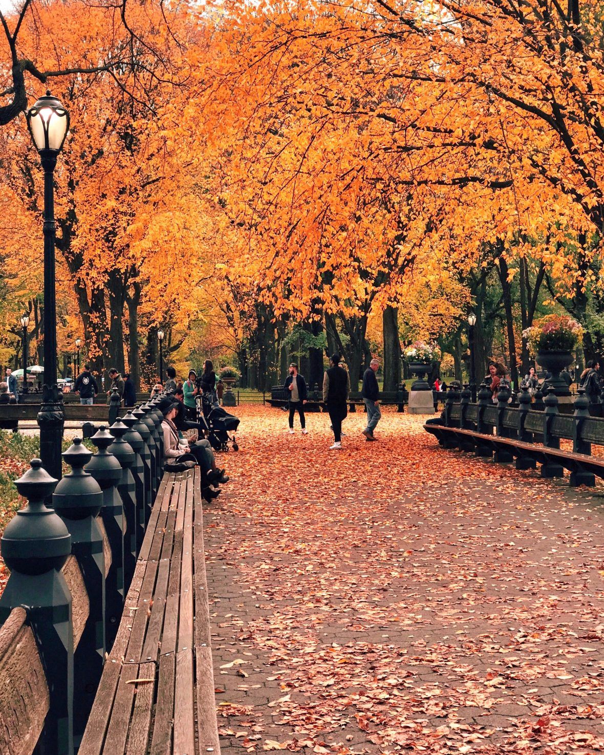 Autumn in New York ideas. autumn in new york, new york city, city