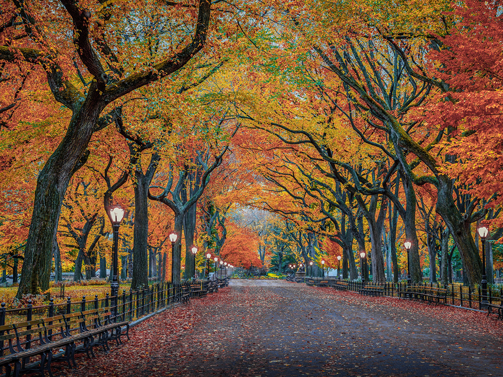31++ Autumn New York Desktop Wallpaper