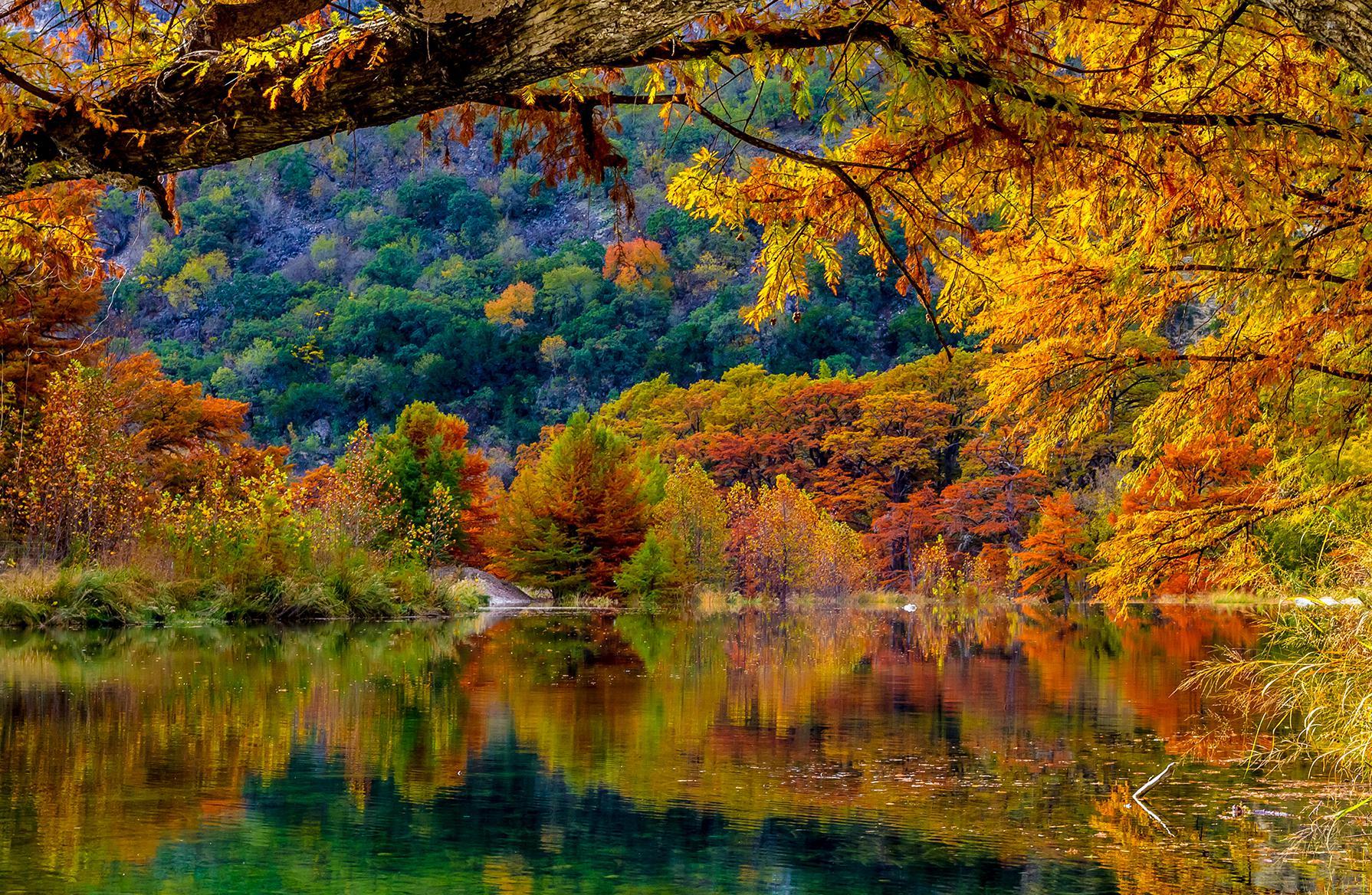 The Best Fall Foliage Spot in Your State. Slideshow. The Active Times