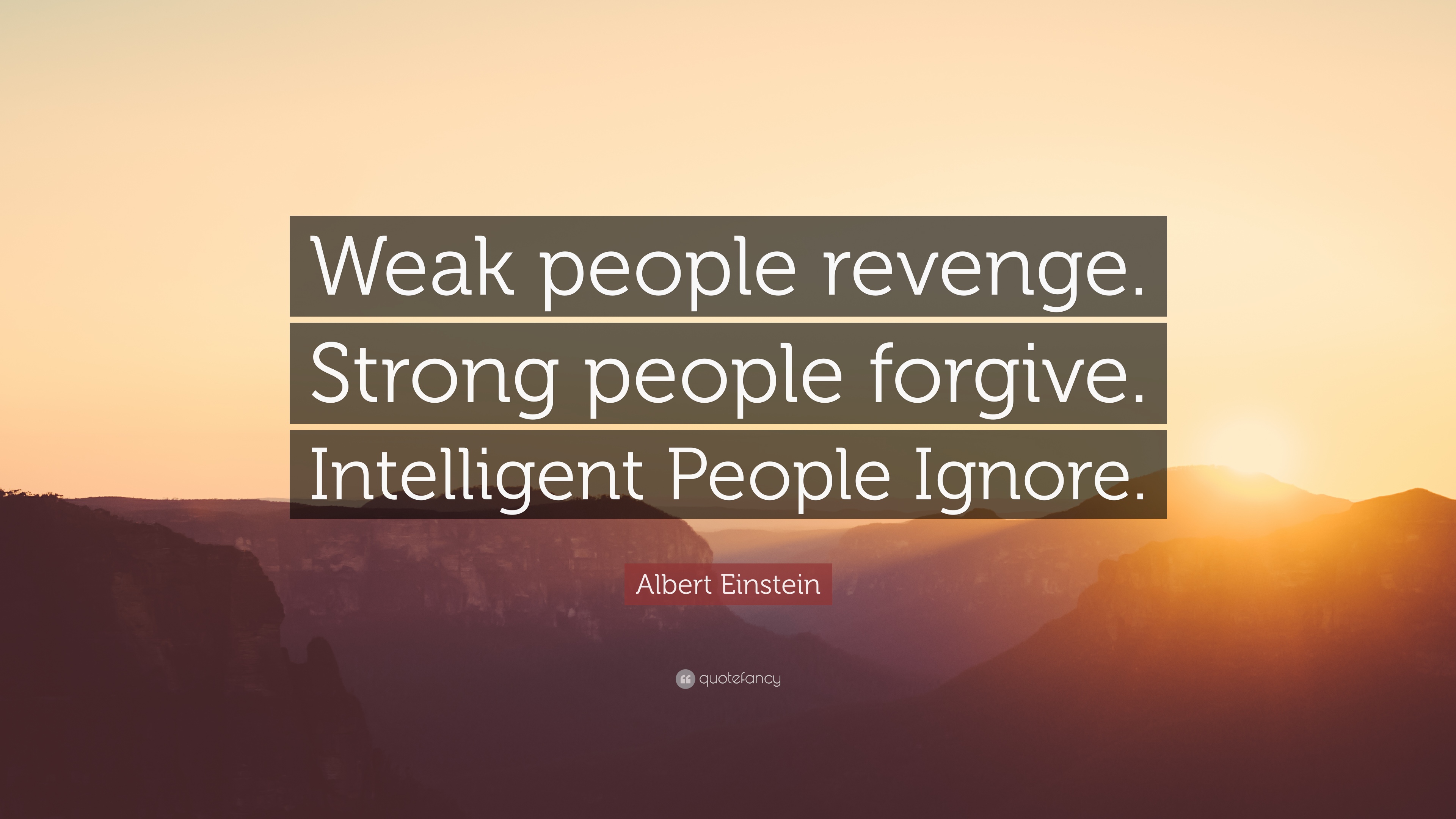 Albert Einstein Quote: “Weak people revenge. Strong people forgive. Intelligent People Ignore.”