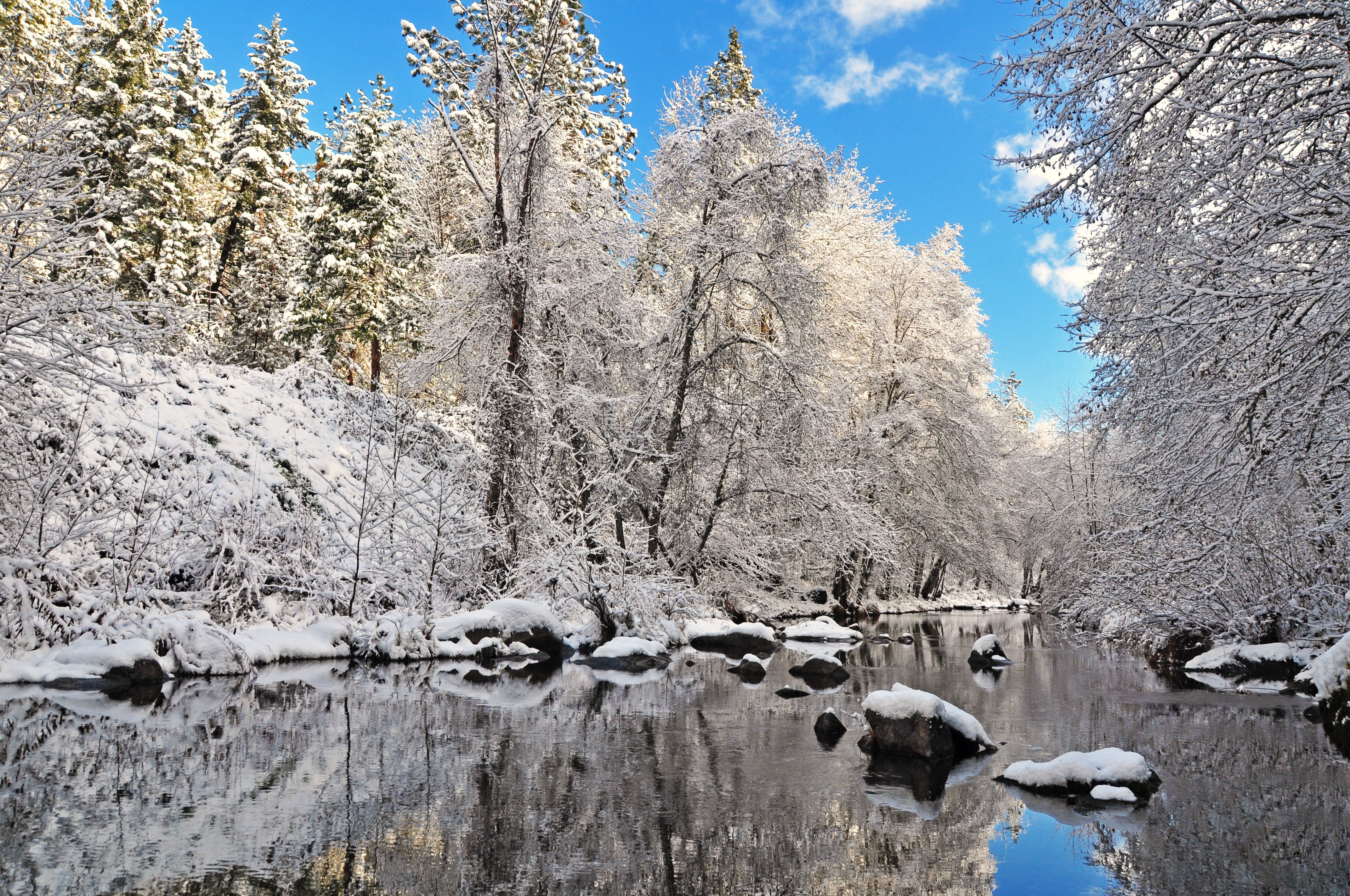 winter, River, Trees, Forest, Landscape, Reflection Wallpaper HD / Desktop and Mobile Background