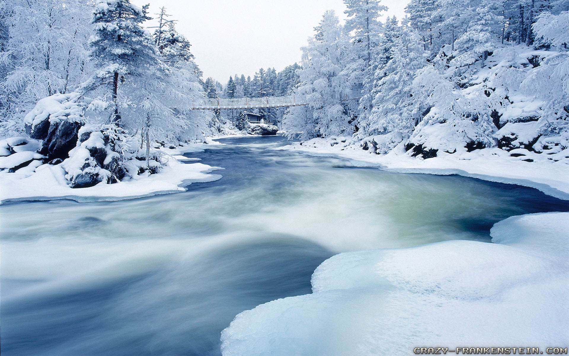 Winter Landscapes Background