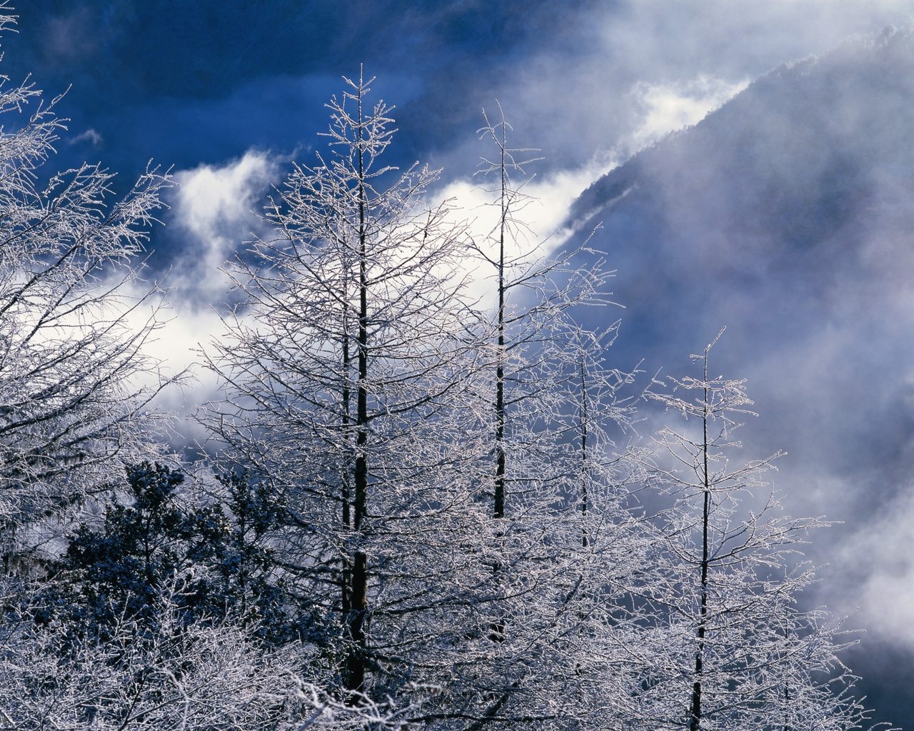 Beautiful Winter Landscapes Wallpaper in jpg format for free download