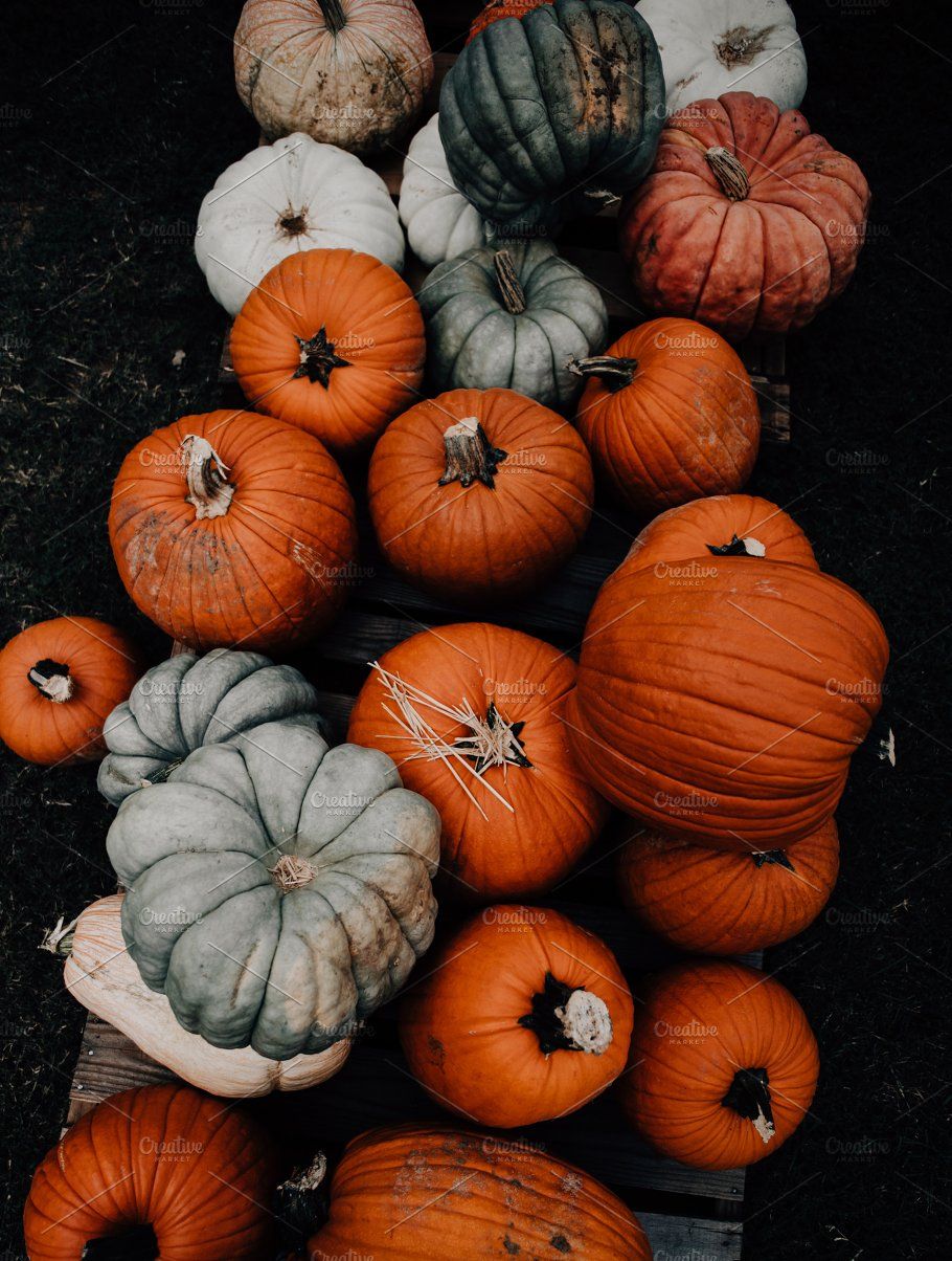 Fall pumpkin patch farmers market containing fall colors, fall foods, and. iPhone wallpaper fall, Fall wallpaper, Pumpkin wallpaper