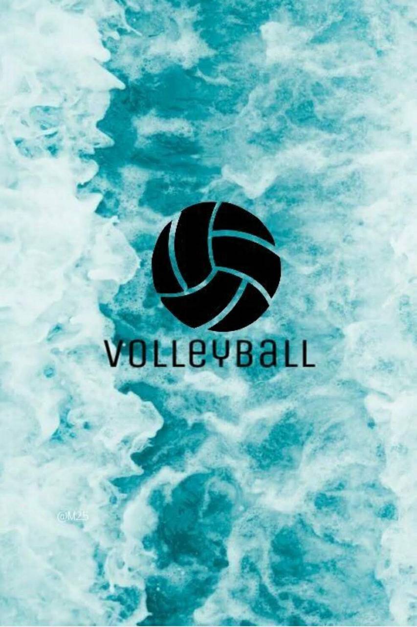 Android Volleyball Wallpaper Free HD Wallpaper
