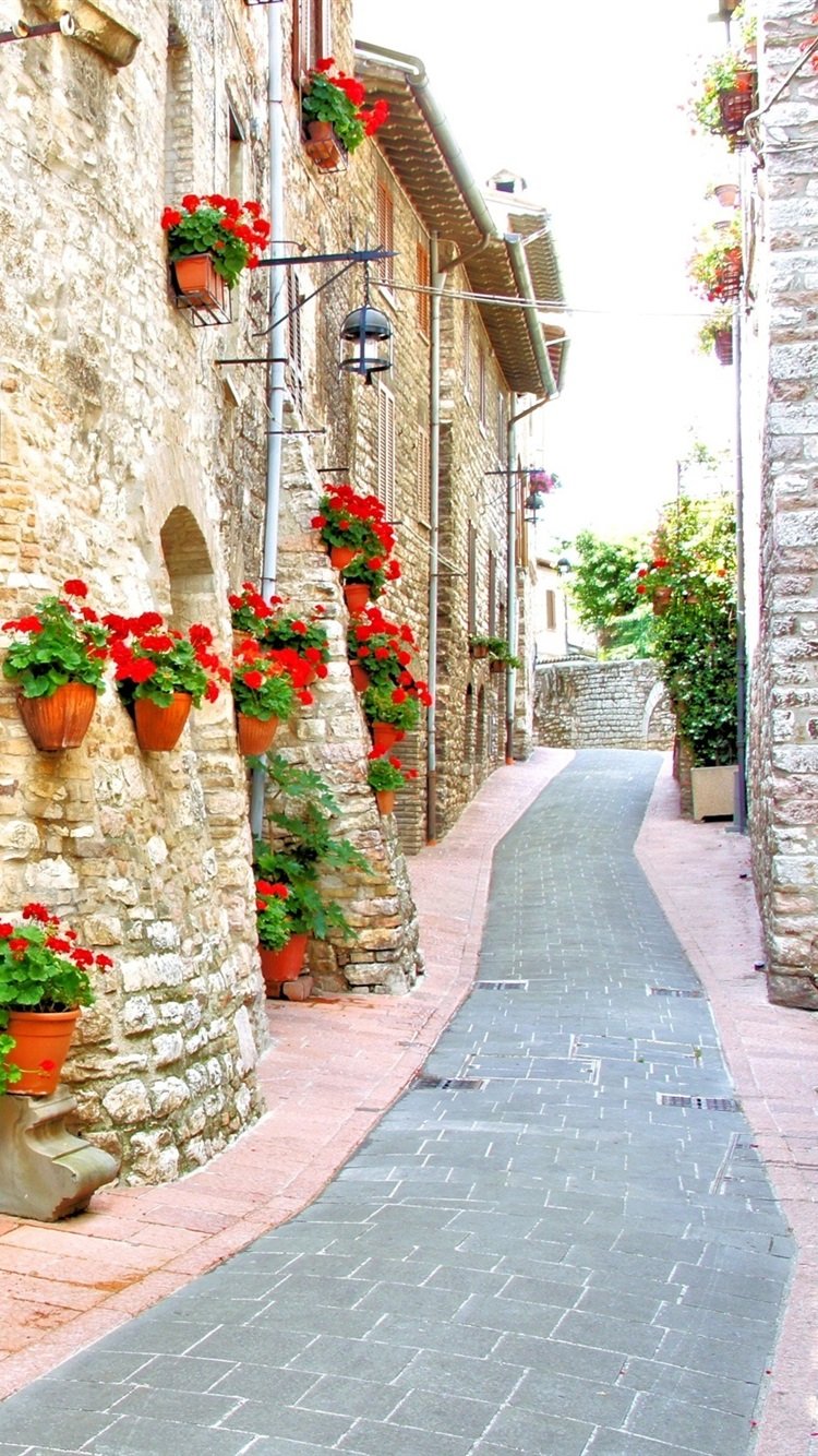 Wallpaper Italy, street, house, flowers, road 2560x1600 HD Picture, Image