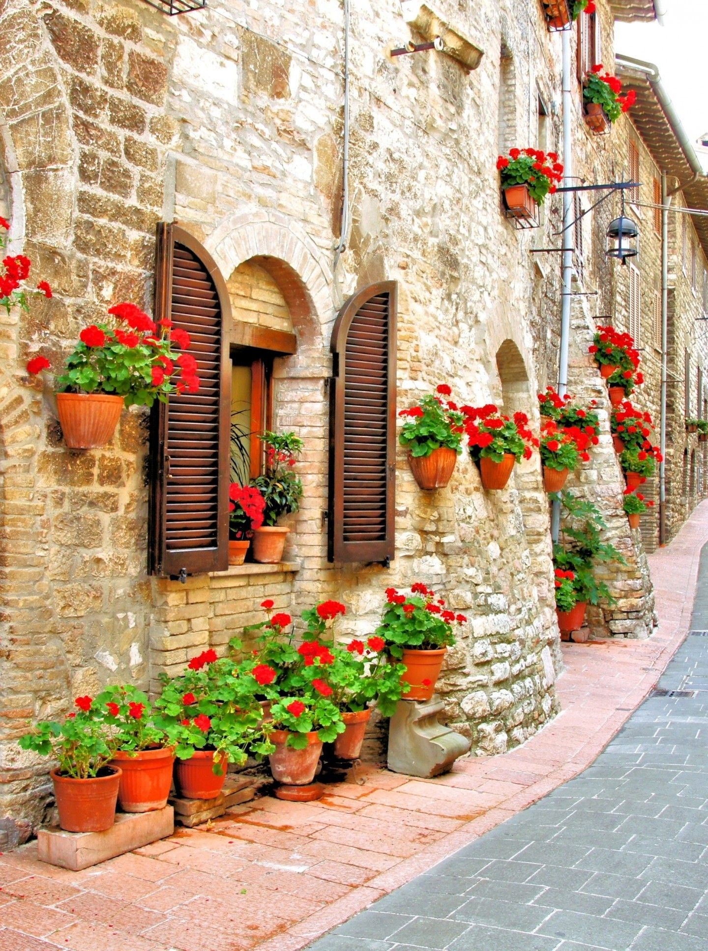 Italy Flowers Wallpaper Free Italy Flowers Background