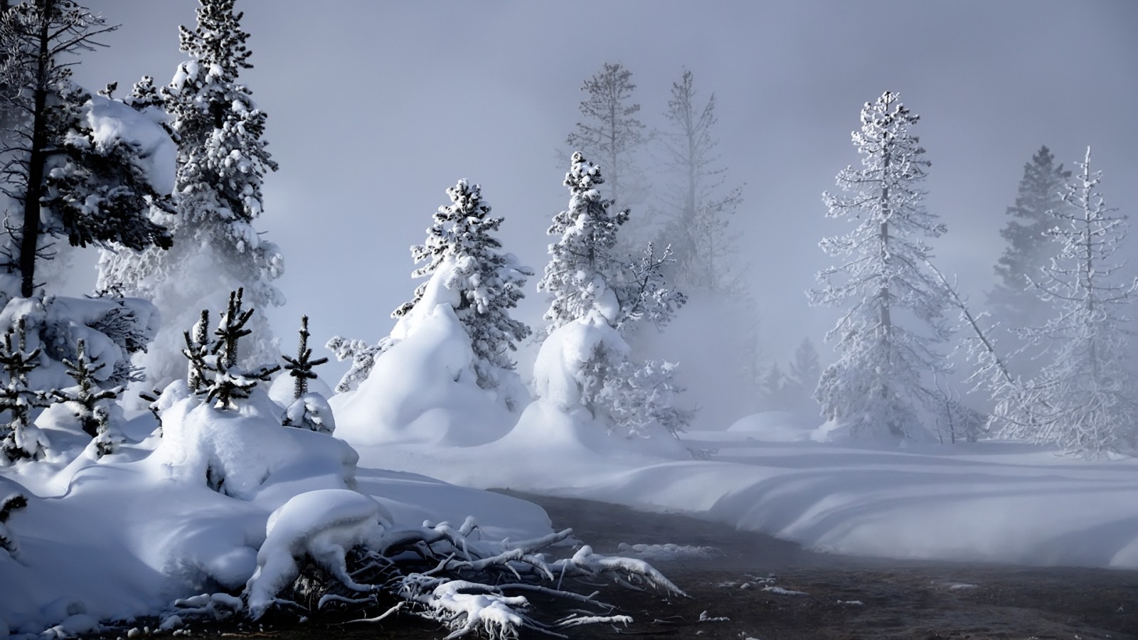 Mystic Winter Wallpaper Winter Nature Wallpaper in jpg format for free download