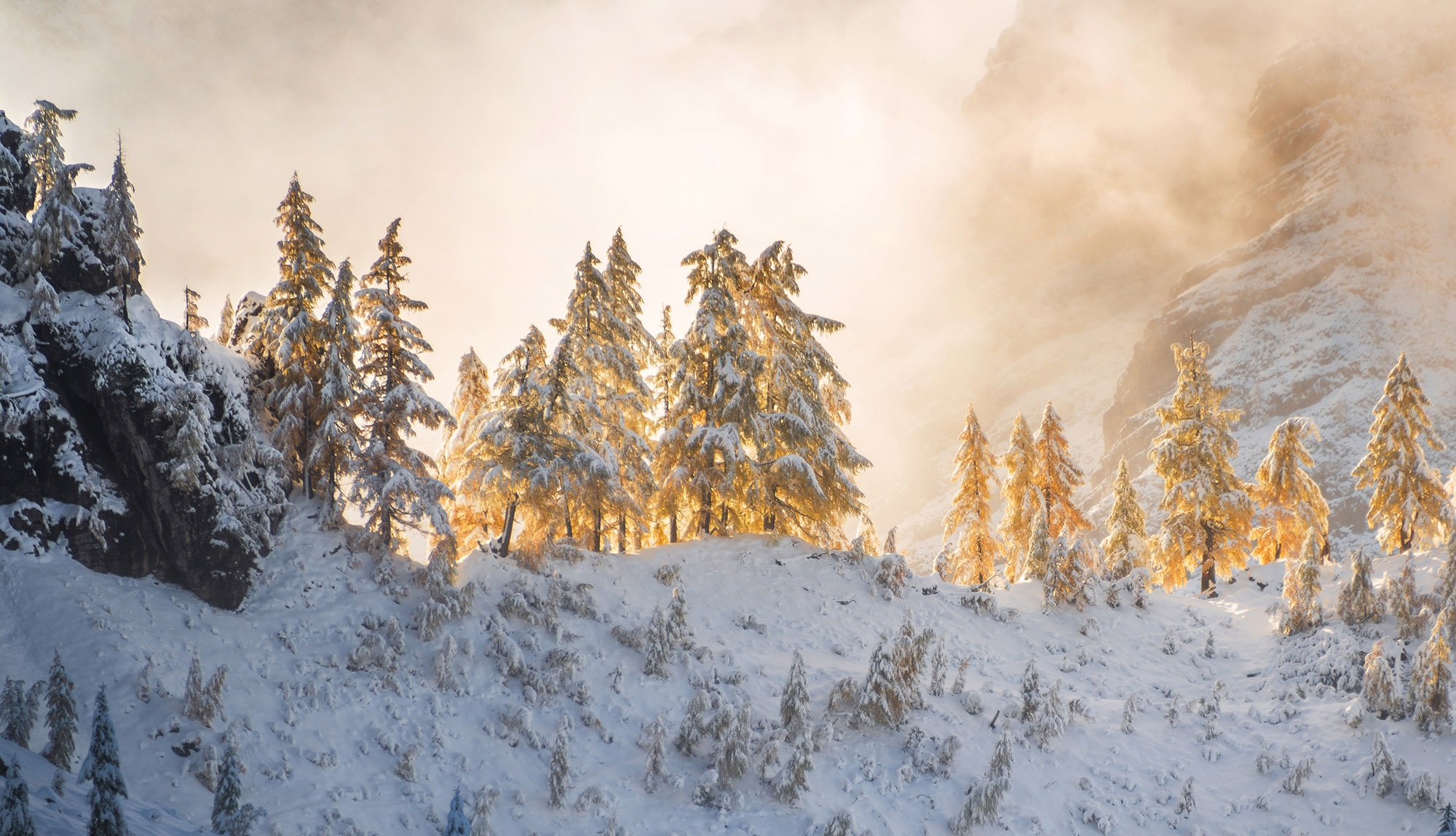 Dreamy Pixel. Mystic winter landscape