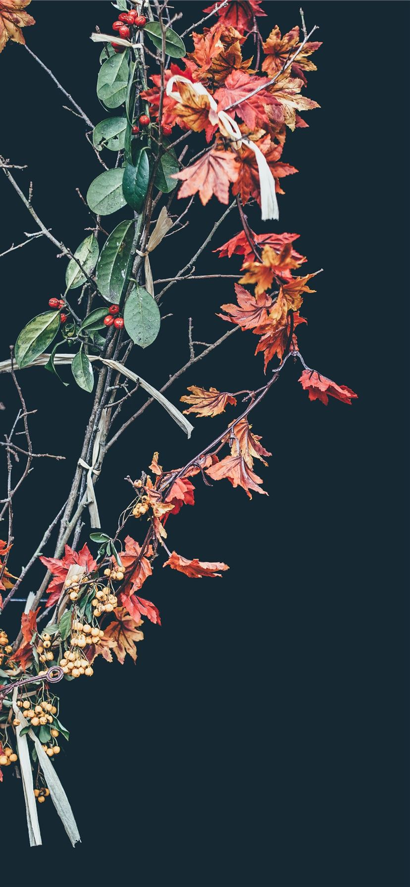 Best Cambridge iPhone 11 HD Wallpaper