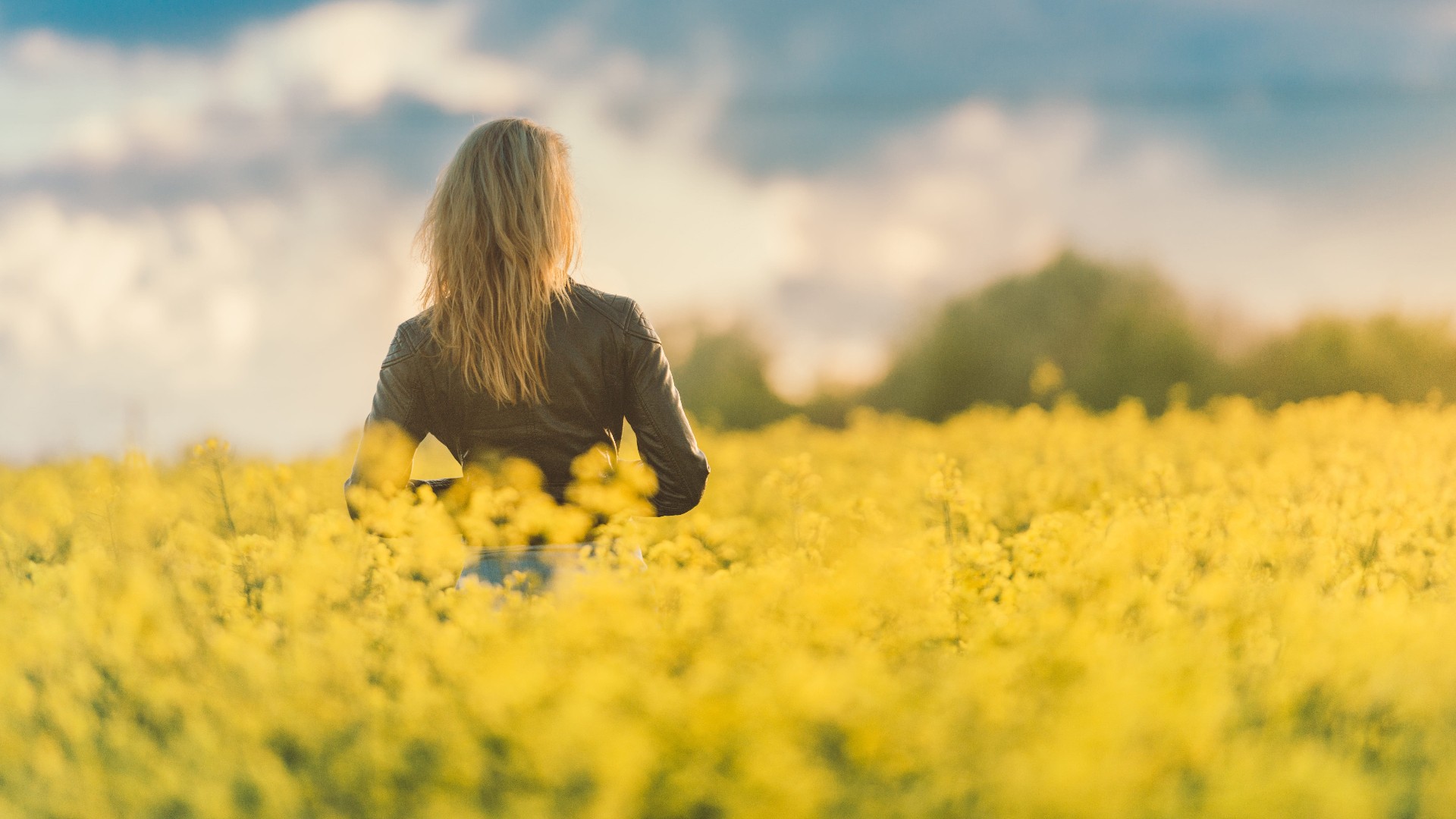 Backside Of Girl Is Standing Alone In Yellow Flowers Field HD Alone Wallpaper
