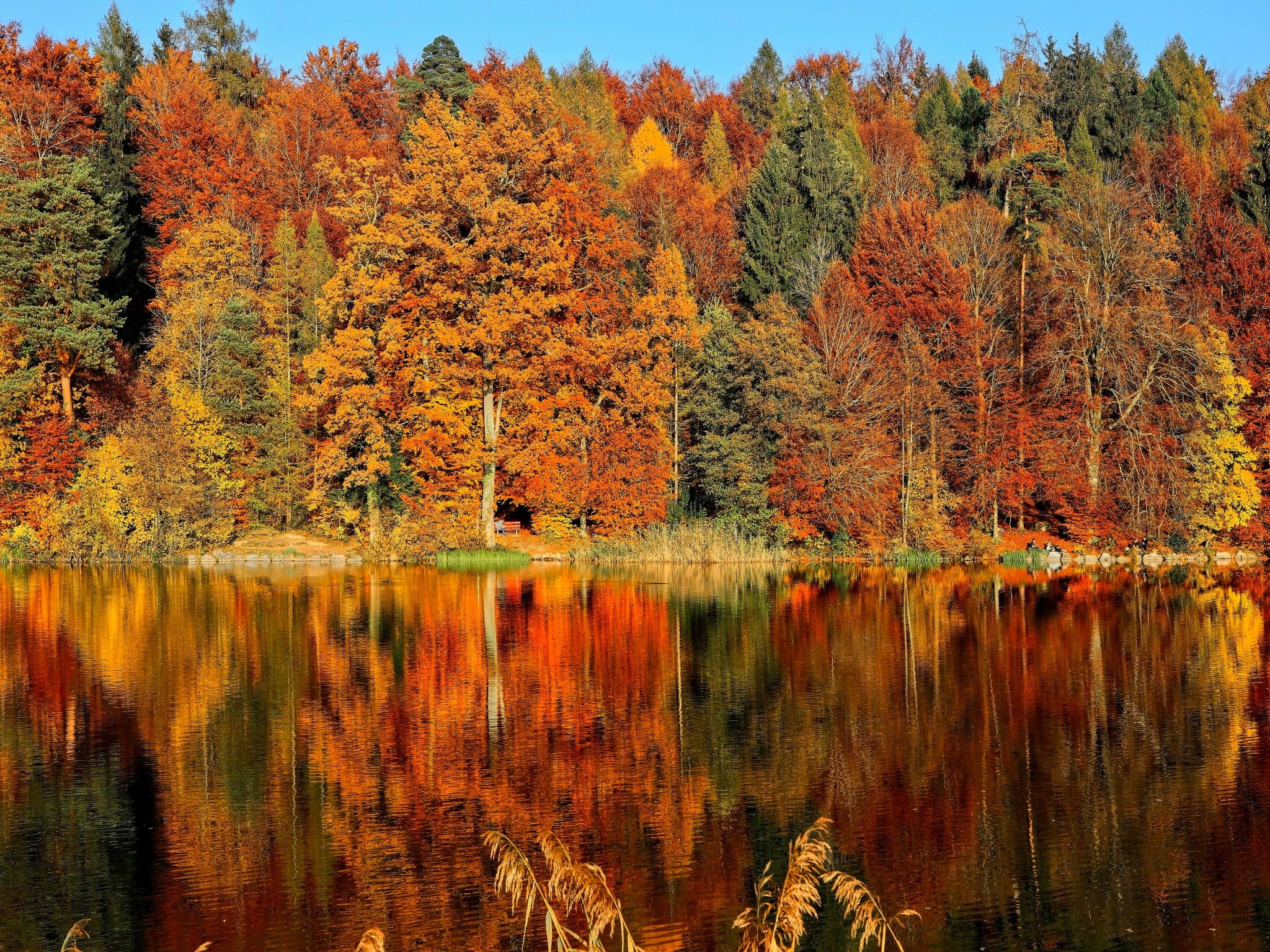 amazing places to see the autumn leaves in Europe
