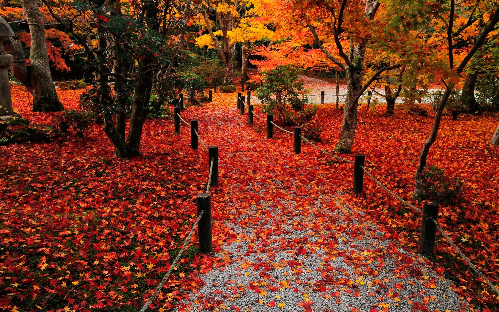 Colorful Autumn Leaves Enkoji Temple Autumn Wallpaper