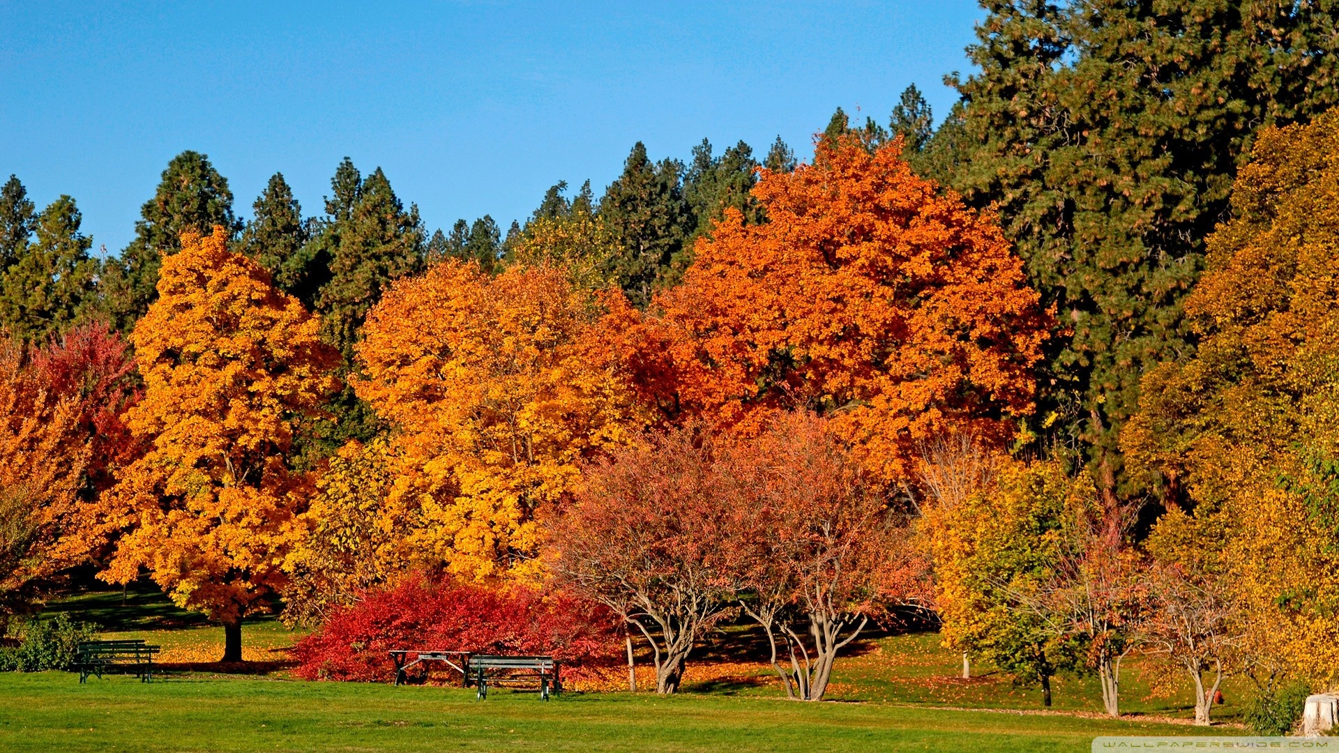 Free download Autumn Landscape Wallpaper 1920x1080 Autumn Landscape [1920x1080] for your Desktop, Mobile & Tablet. Explore Autumn Wallpaper 1920x1080. Autumn Wallpaper Hd, 1920x1080 HD Autumn Wallpaper, 1920X1080 Bing Wallpaper Autumn