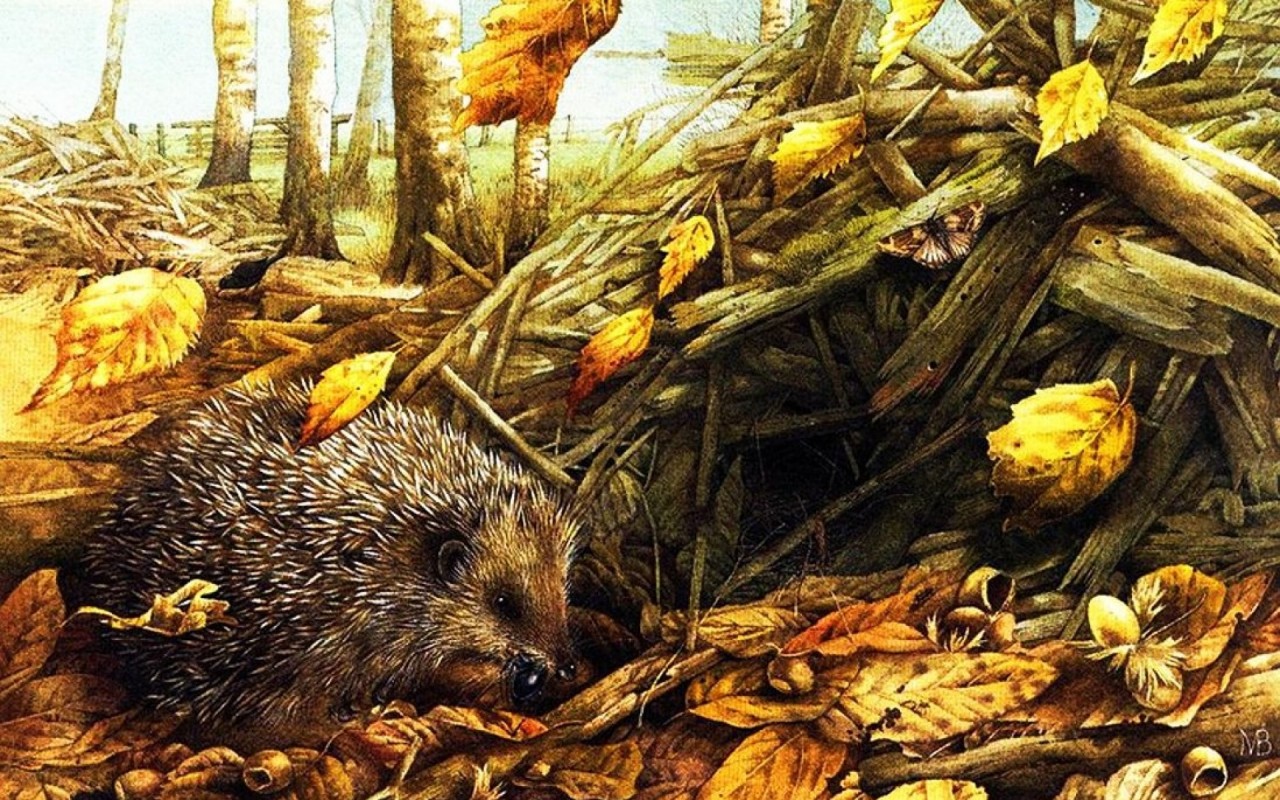 Cute Hedgehog Wood Pile Autumn wallpaper. Cute Hedgehog Wood Pile Autumn
