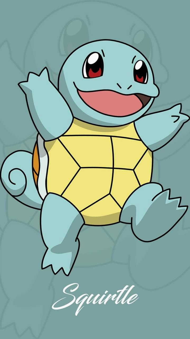 Cute Squirtle Wallpaper Free Cute Squirtle Background