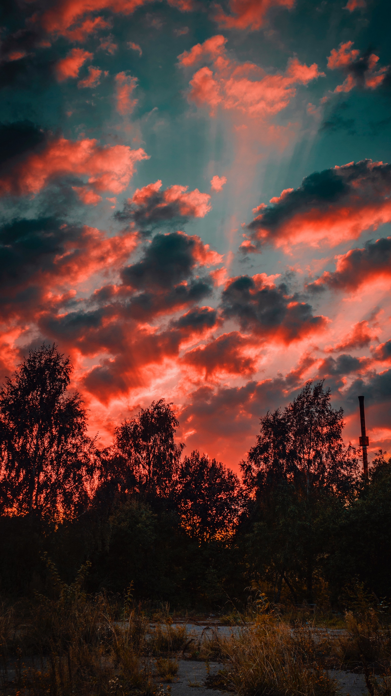 Wallpaper Trees, Sunset, Sky, Clouds, Autumn, Evening Evening Wallpaper HD