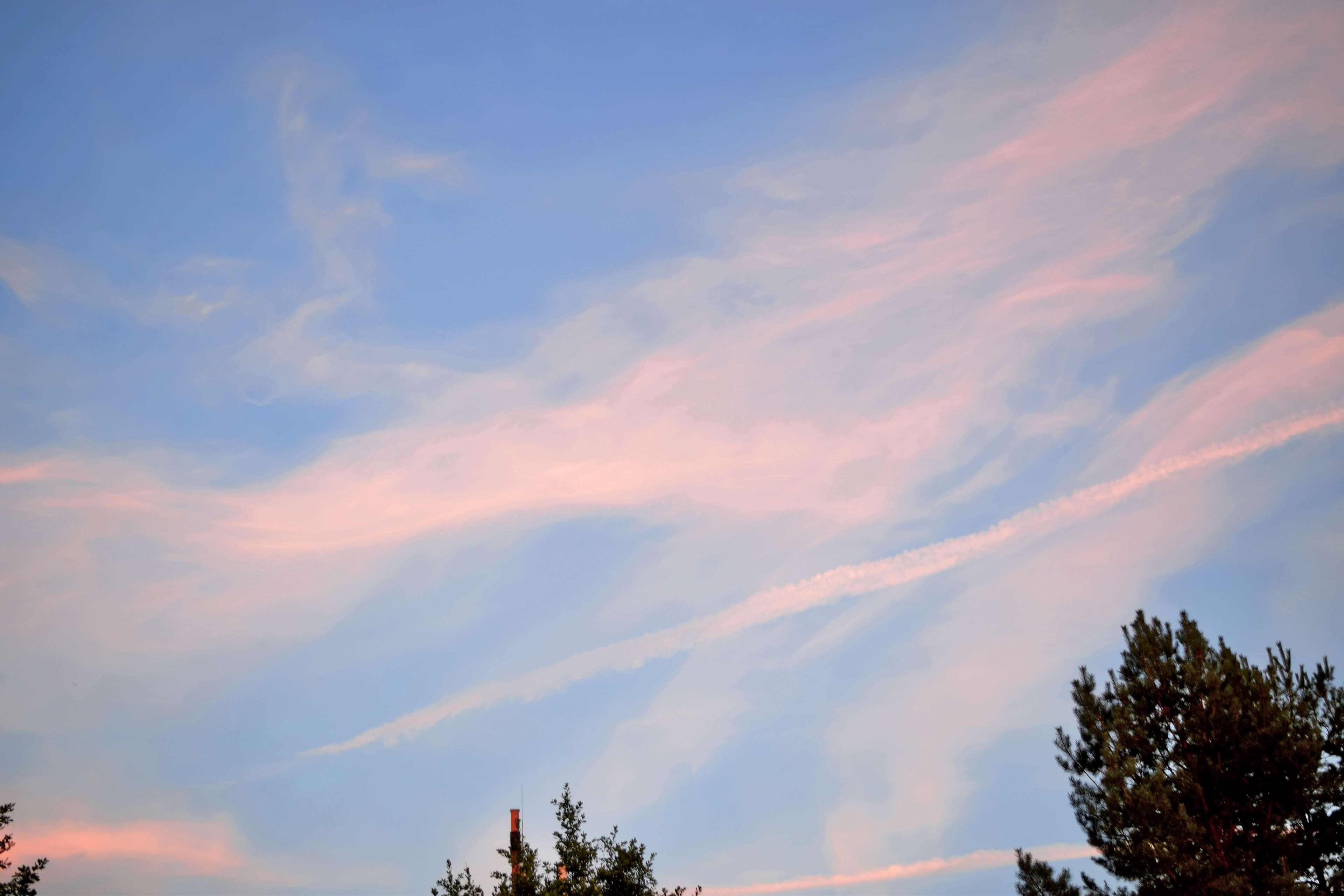 autumn #blue sky #clouds #pink clouds #sunset. Clouds, Blue sky clouds, Sky and clouds