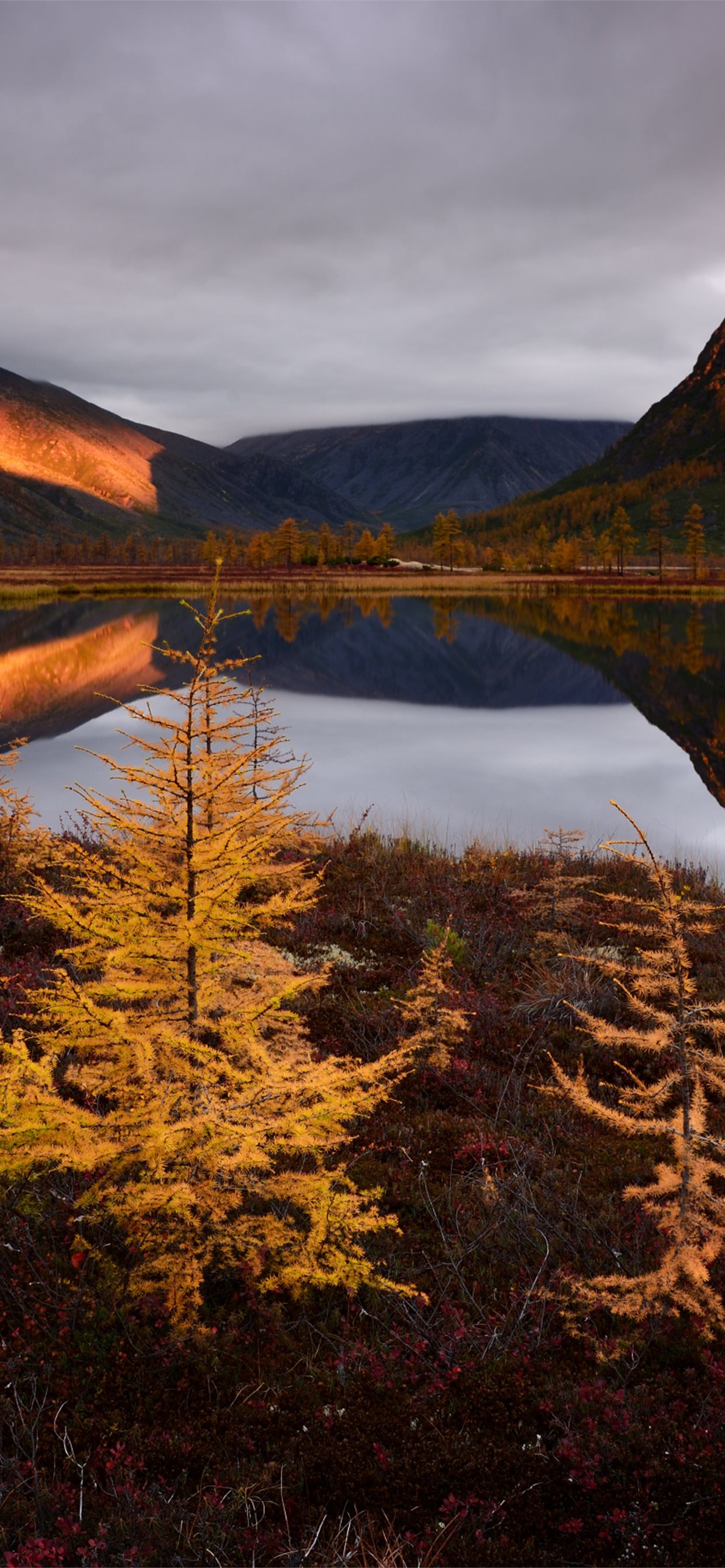 autumn lake reflections fall clouds nature russia iPhone X Wallpaper Free Download
