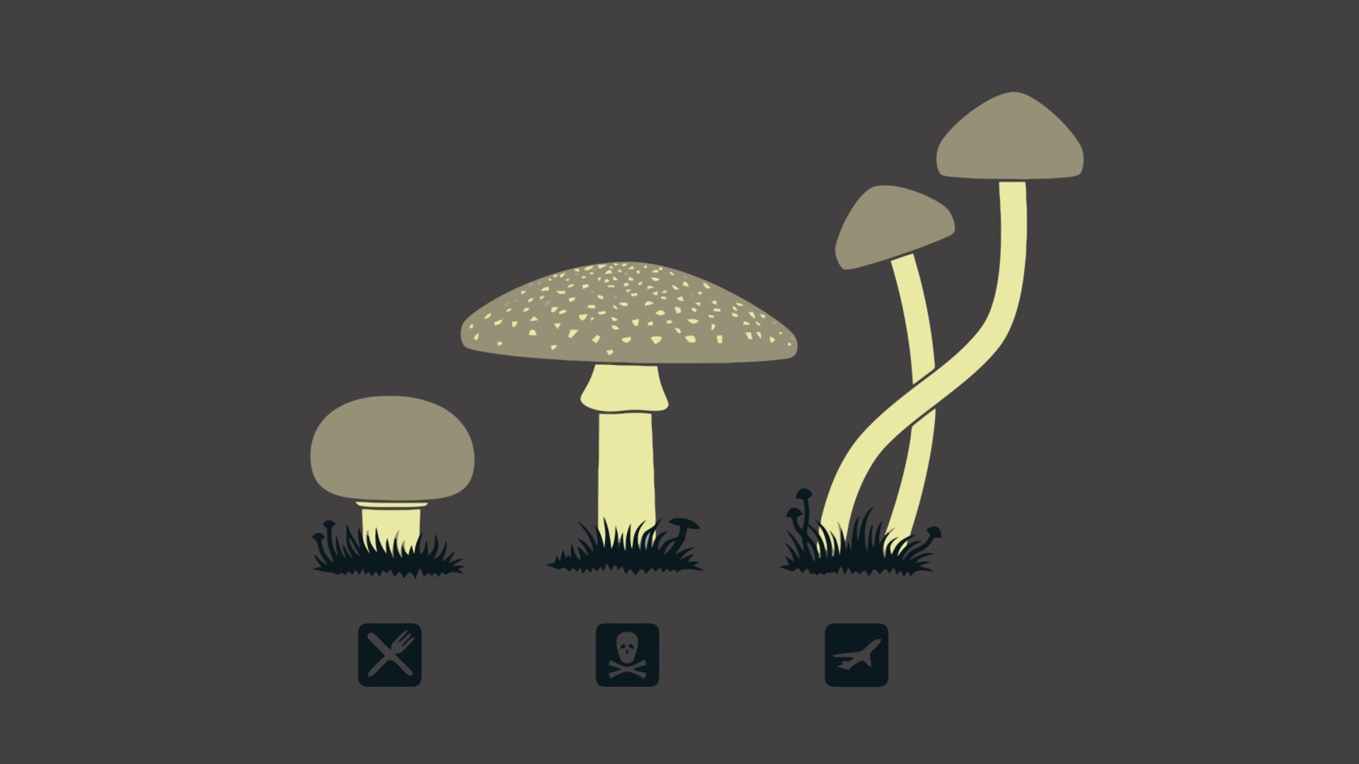 Mushroom Minimalism Laptop Full HD 1080P HD 4k Wallpaper, Image, Background, Photo and Picture