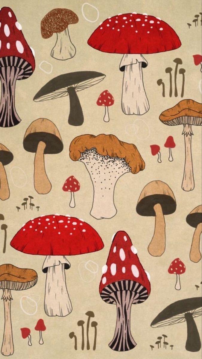 Mushroom wallpaper for Spacehey (found)