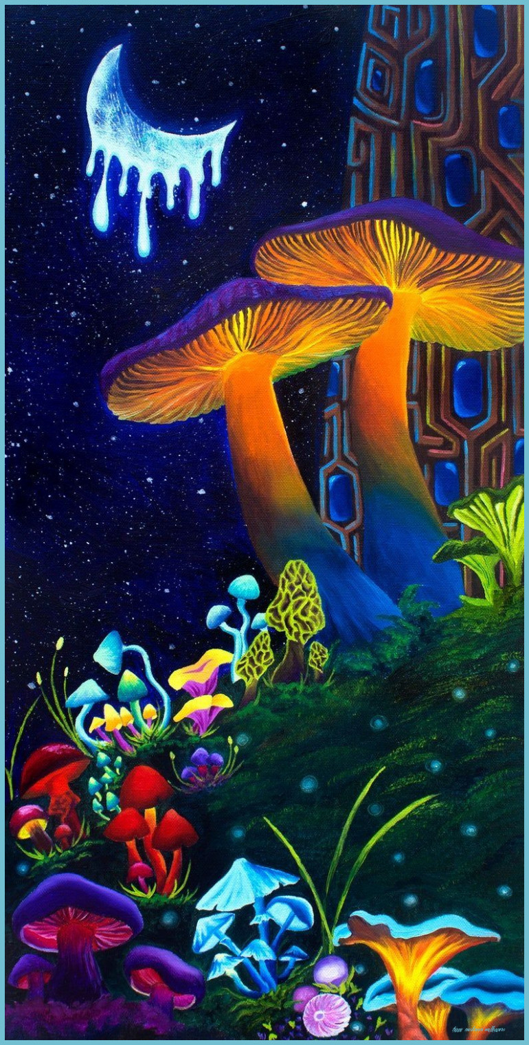 View 8 Trippy Shroom Background Mushroom Wallpaper