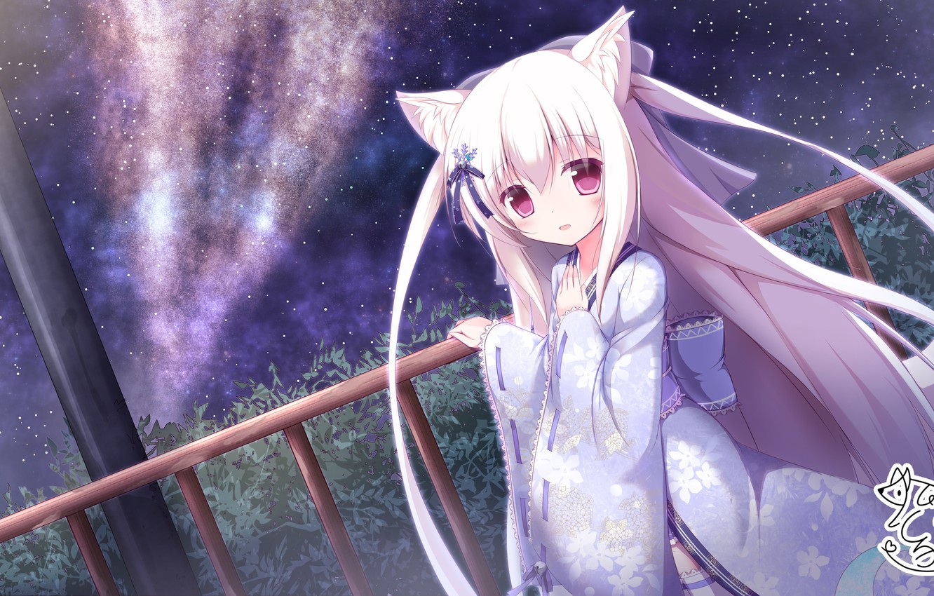 Photo Wallpaper Night, Girl, Neko Neko Girl